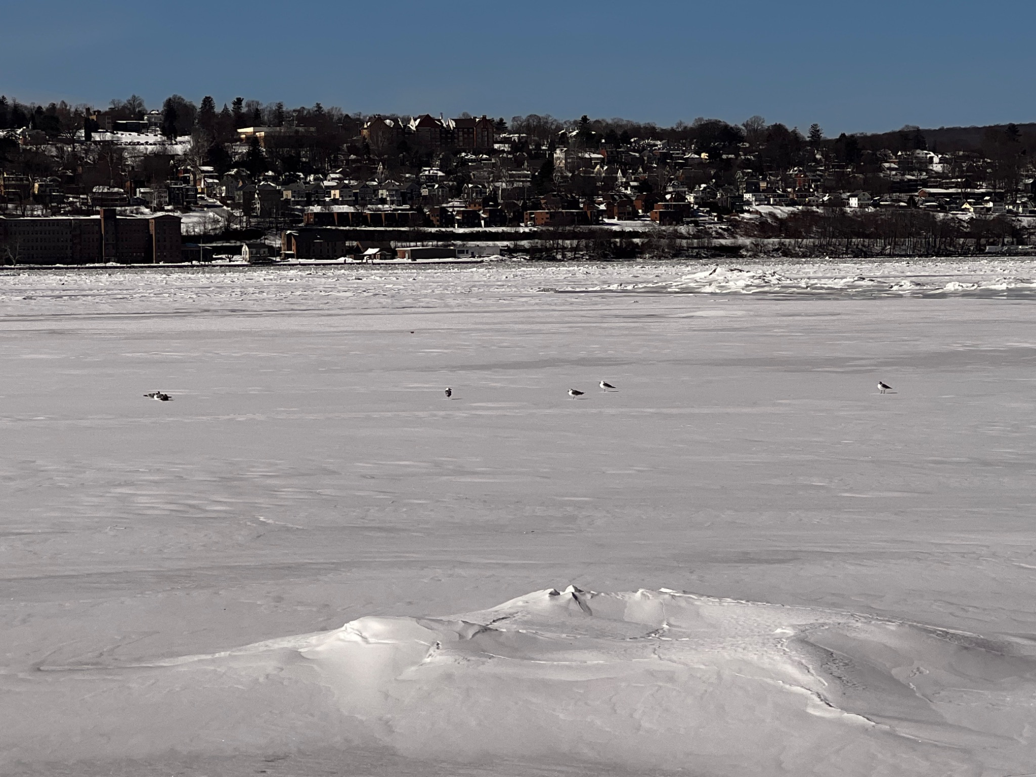 Community photo by Sudhir