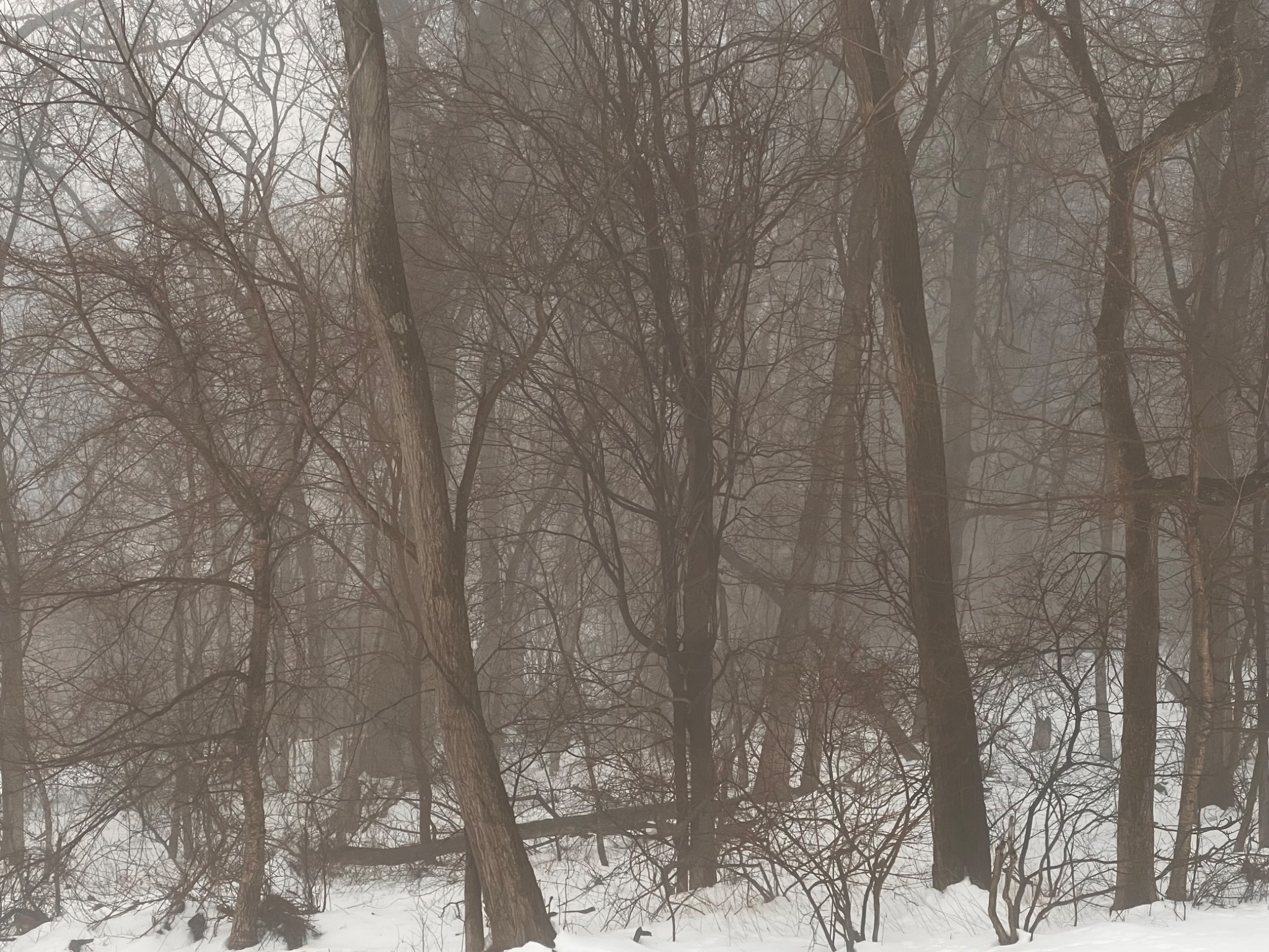 Community photo by Sudhir