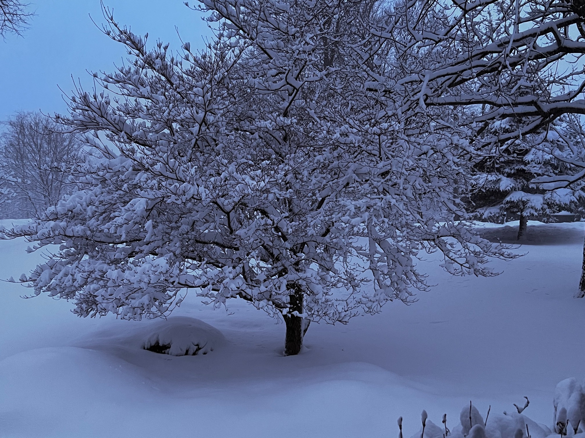 Community photo by Sudhir