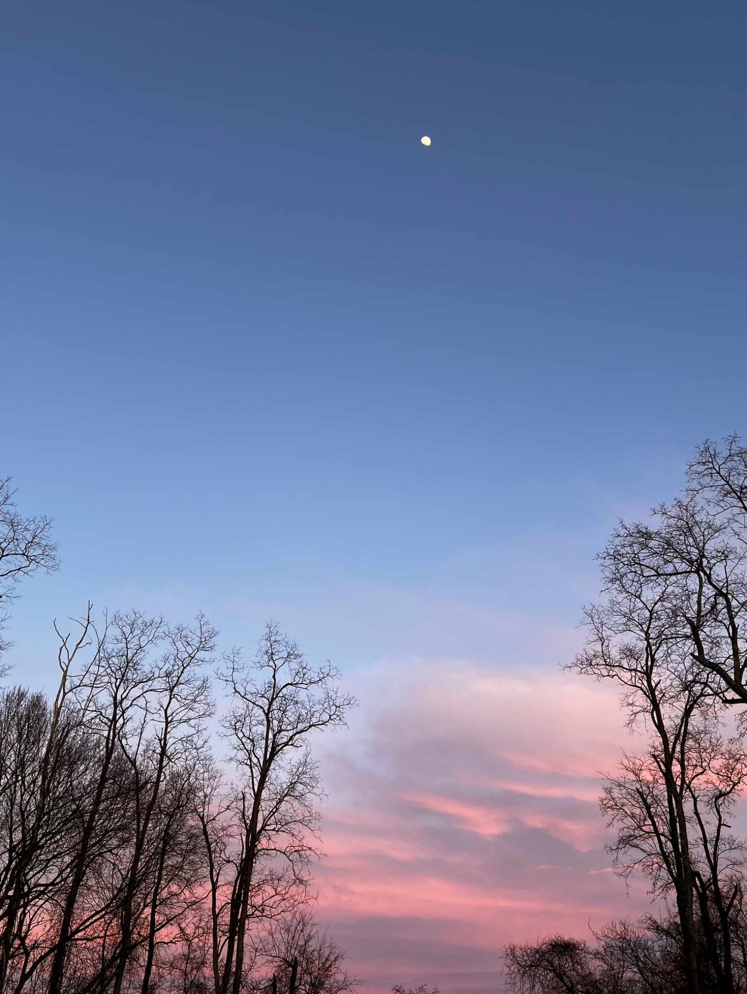 Community photo by Sudhir