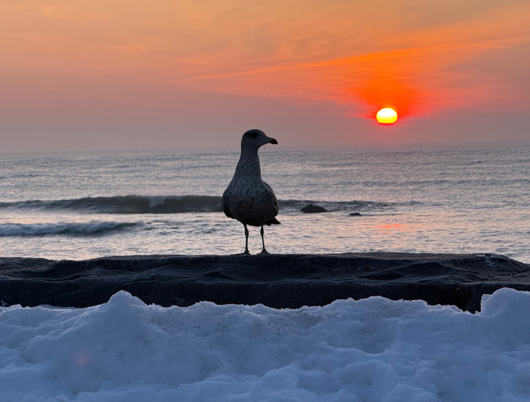 Community photo by Bill Gaudet | Rye, NH