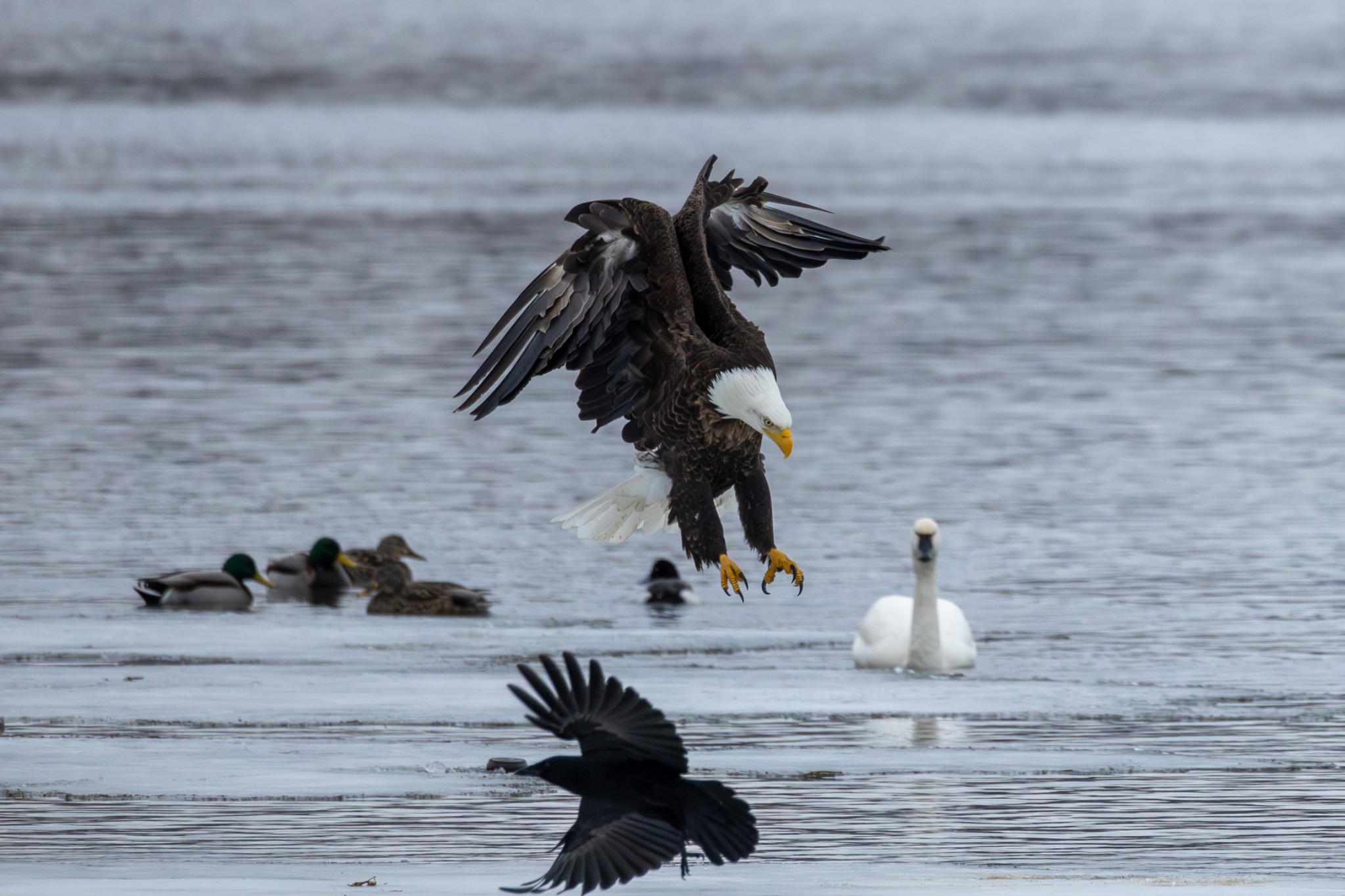 Community photo by Benjamin