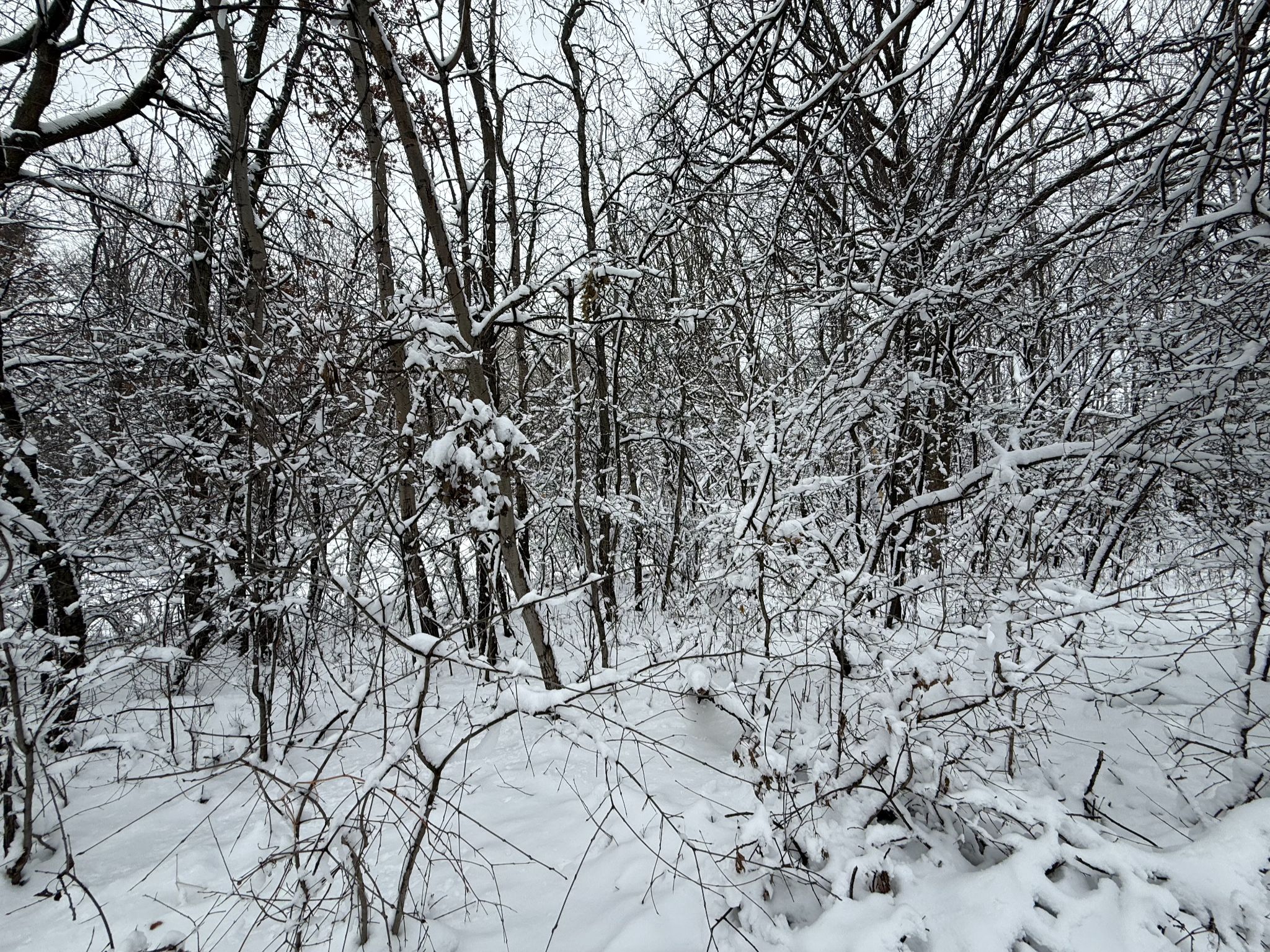 Community photo by Asha