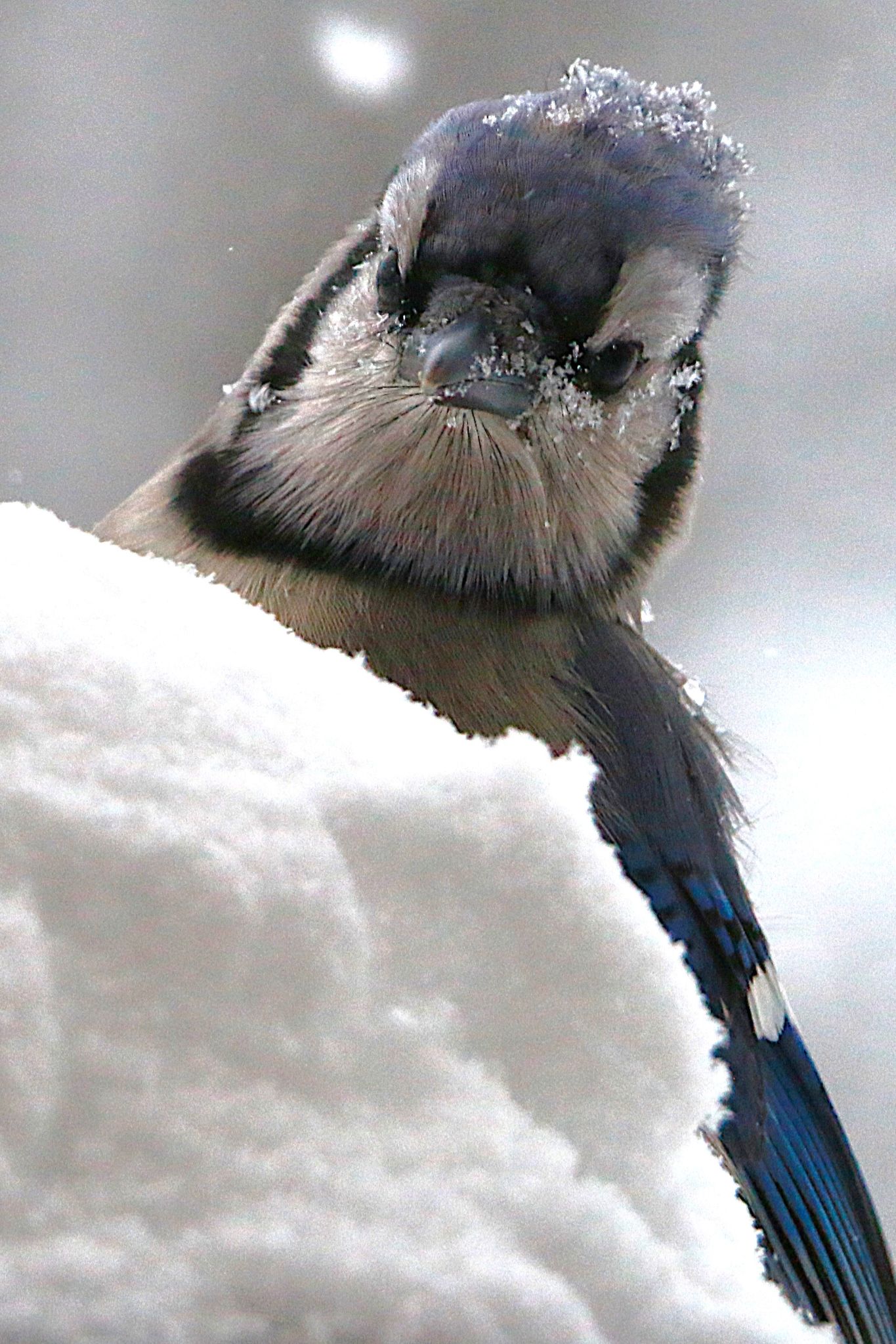 Community photo by Bill Kozar | Taylorsville, Indiana. USA