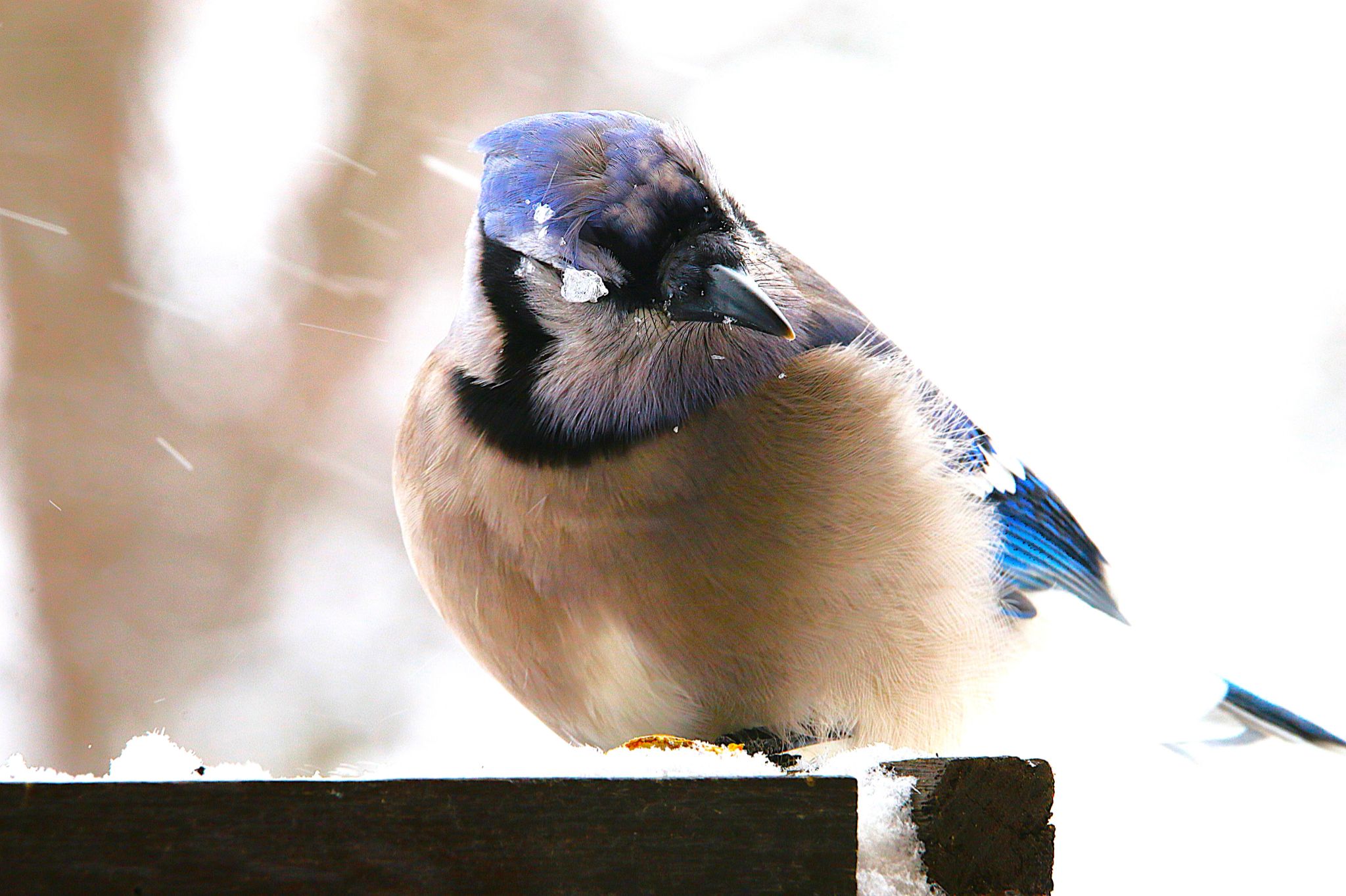 Community photo by Bill