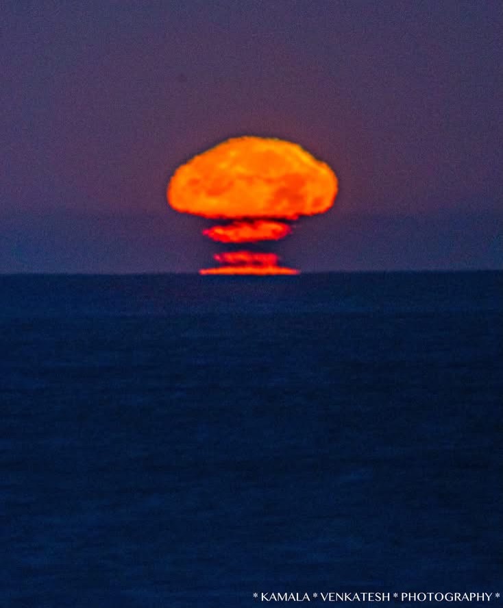 Community photo by Kamala Venkatesh | San Diego, California, USA