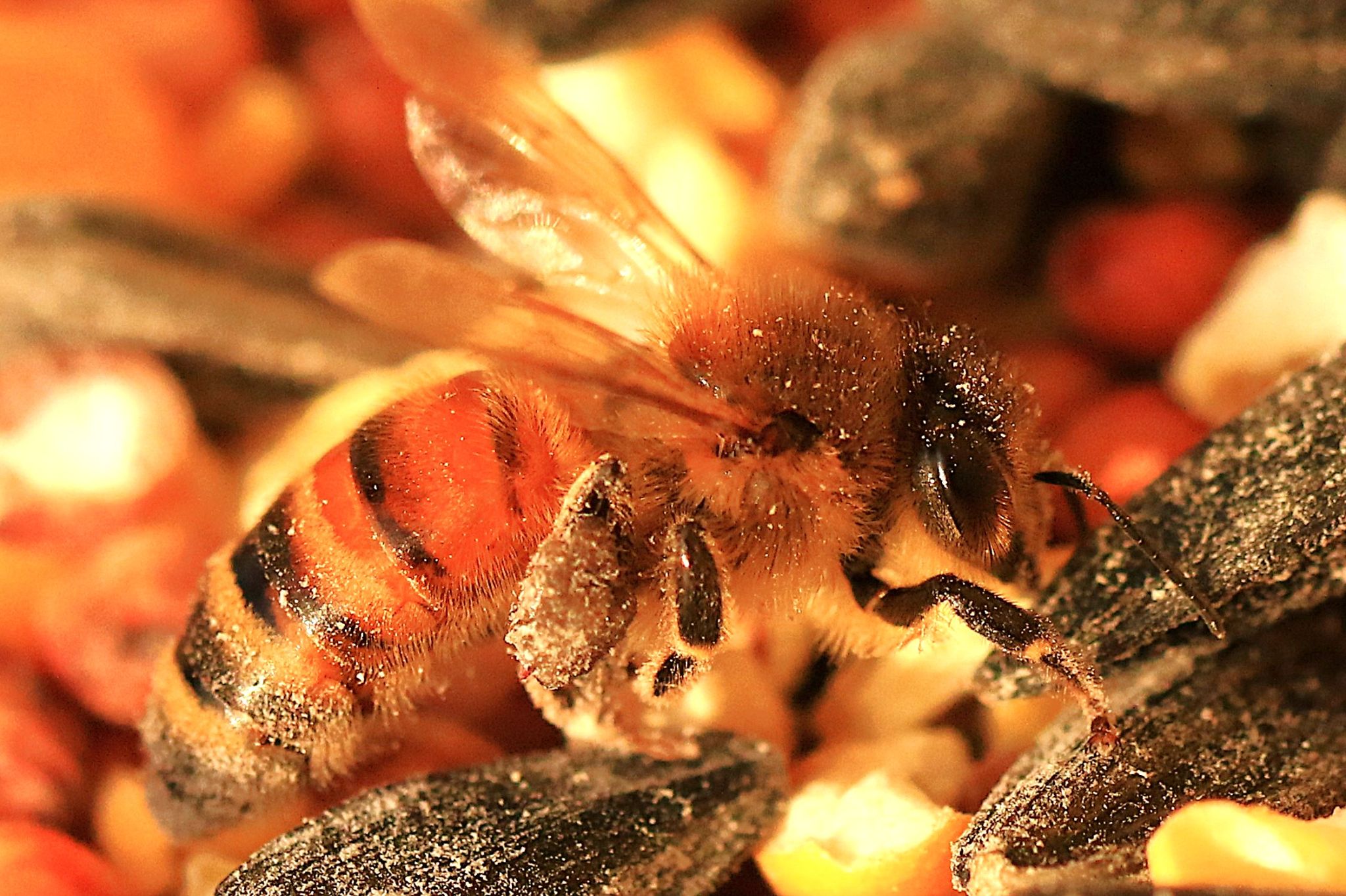 Community photo by Bill