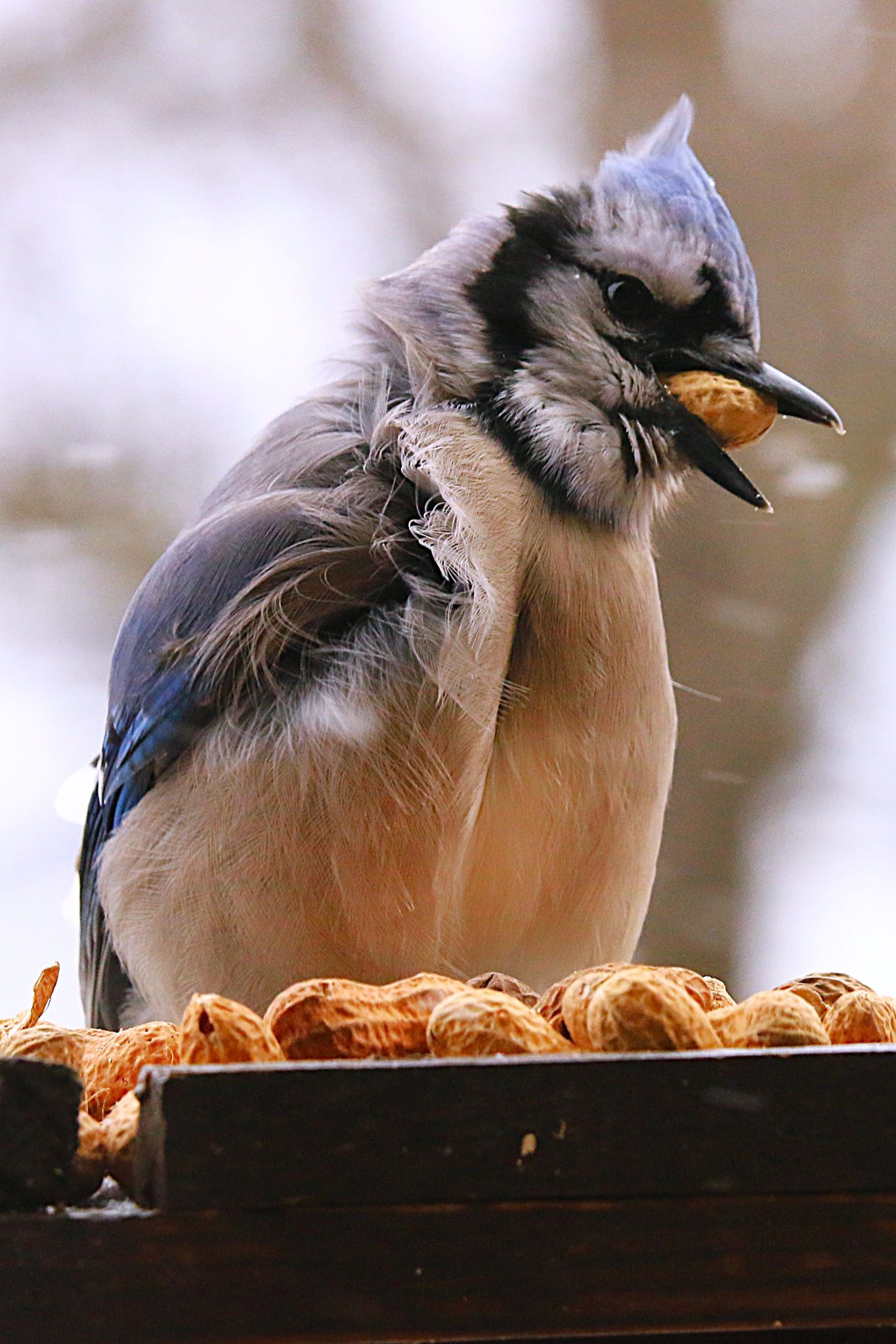 Community photo by Bill