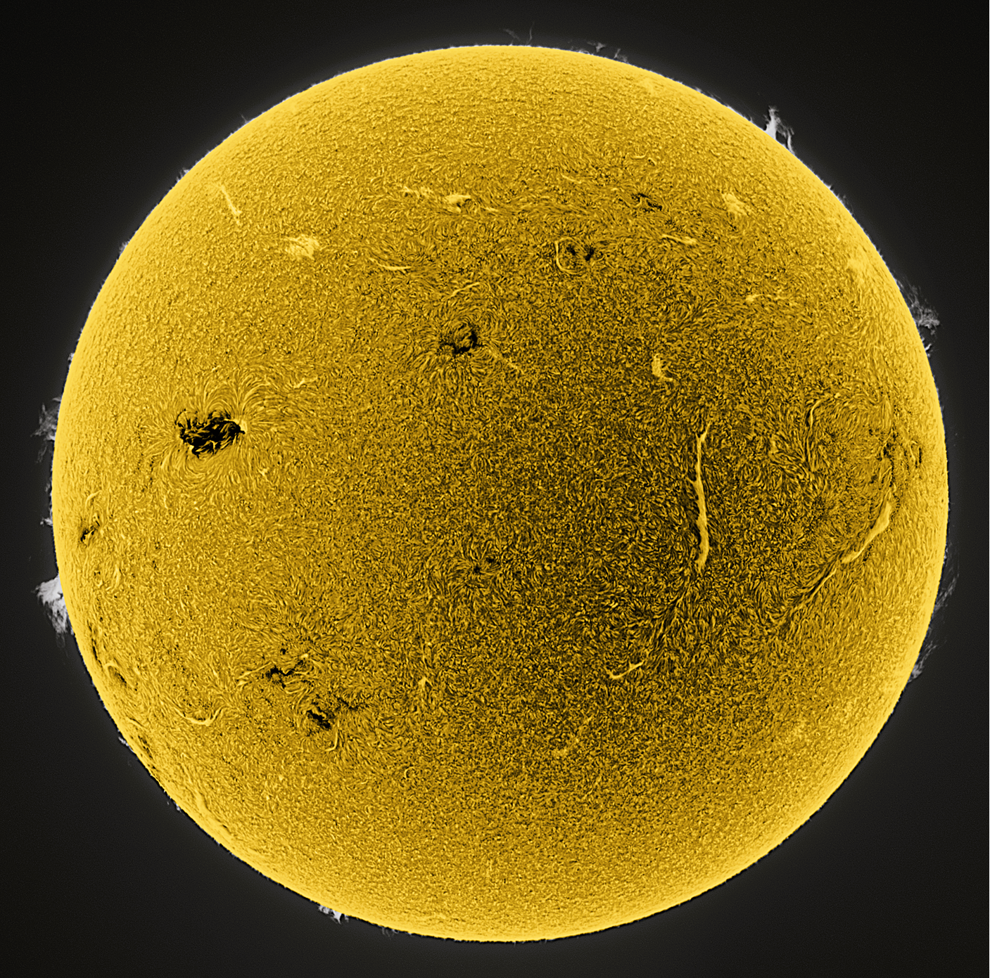 Community photo by Anthony Faulkner | Tucson, AZ.