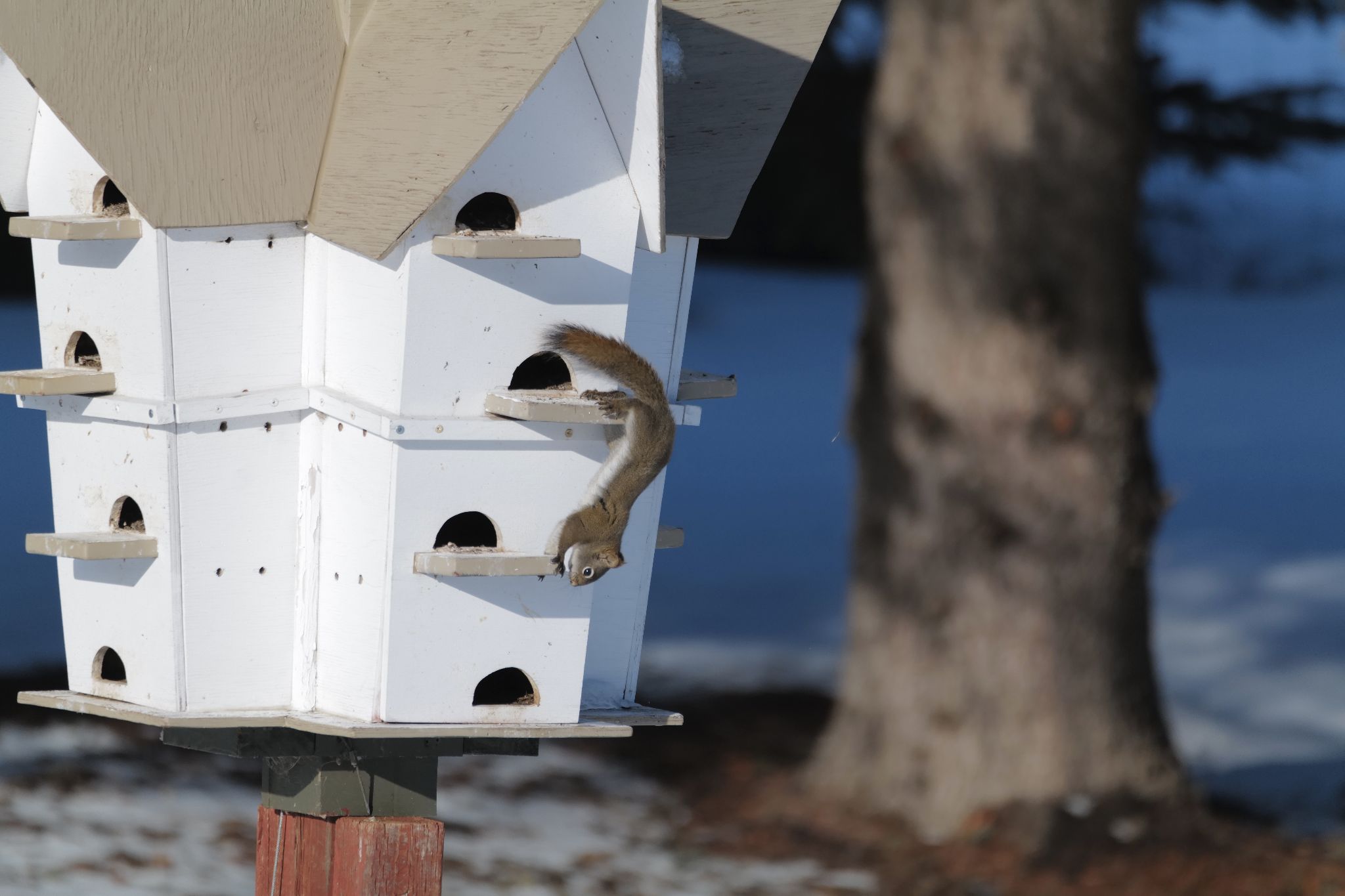 Community photo by Elmarie