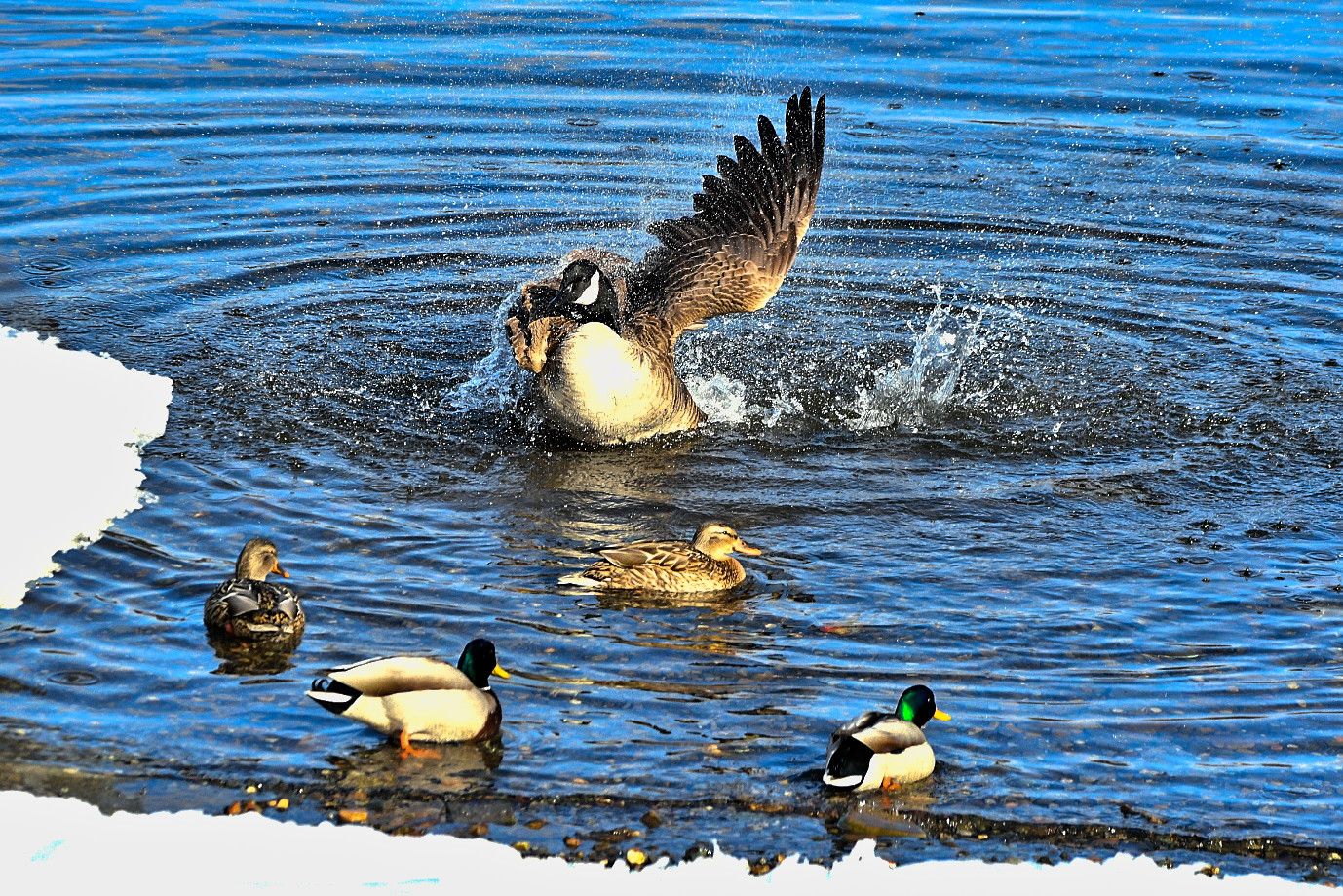 Community photo by Lorraine