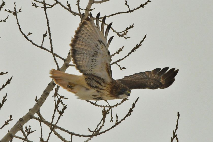 Community photo by Lorraine