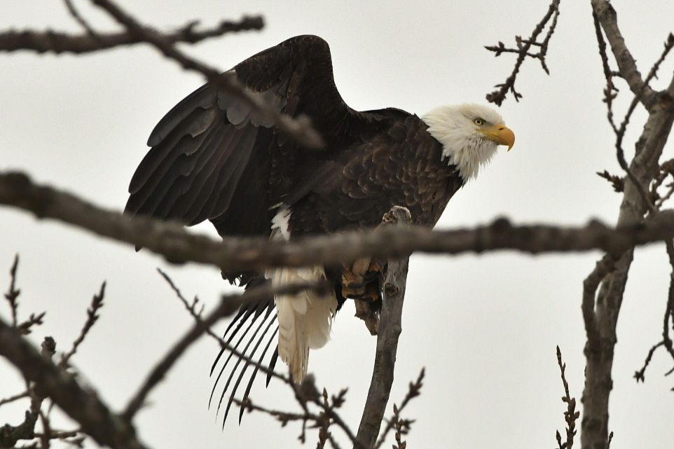 Community photo by Lorraine