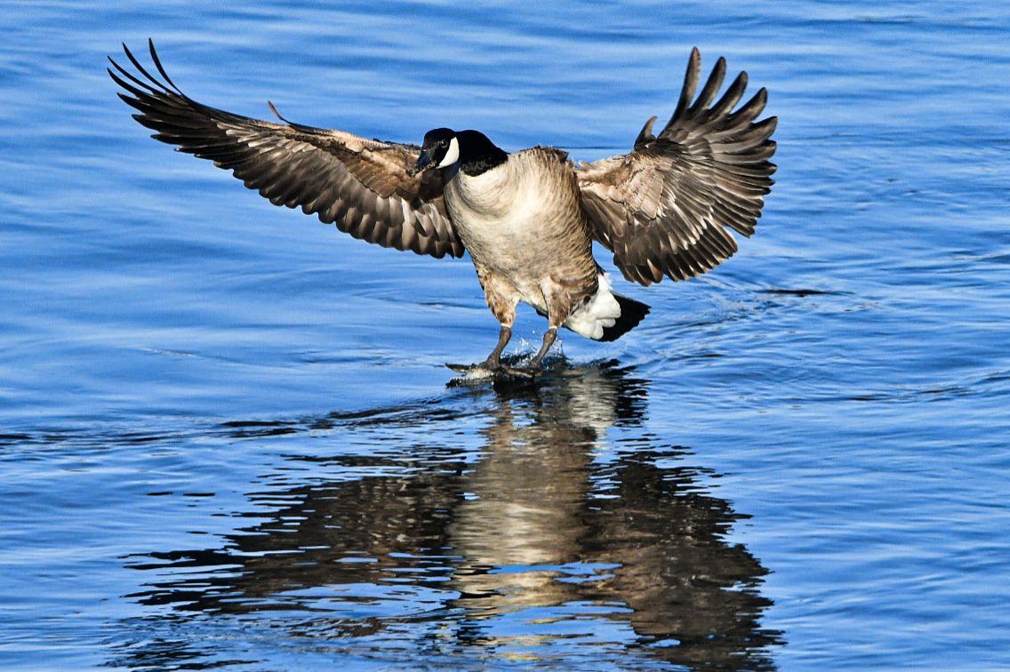 Community photo by Lorraine Boyd | Green Island, New York