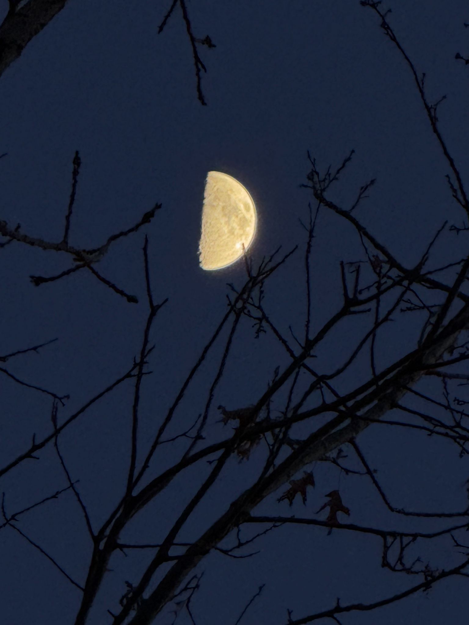 Community photo by Asha Prasad | Minnesota, USA