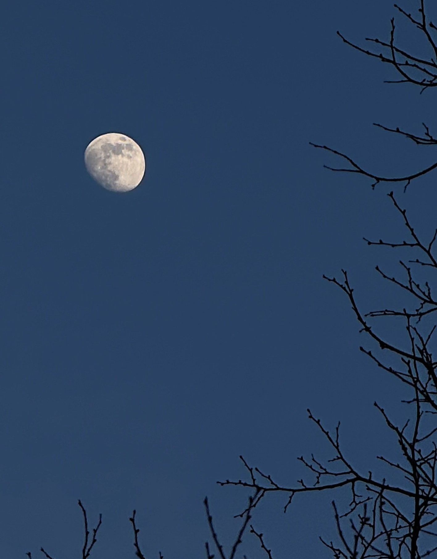 Community photo by Asha