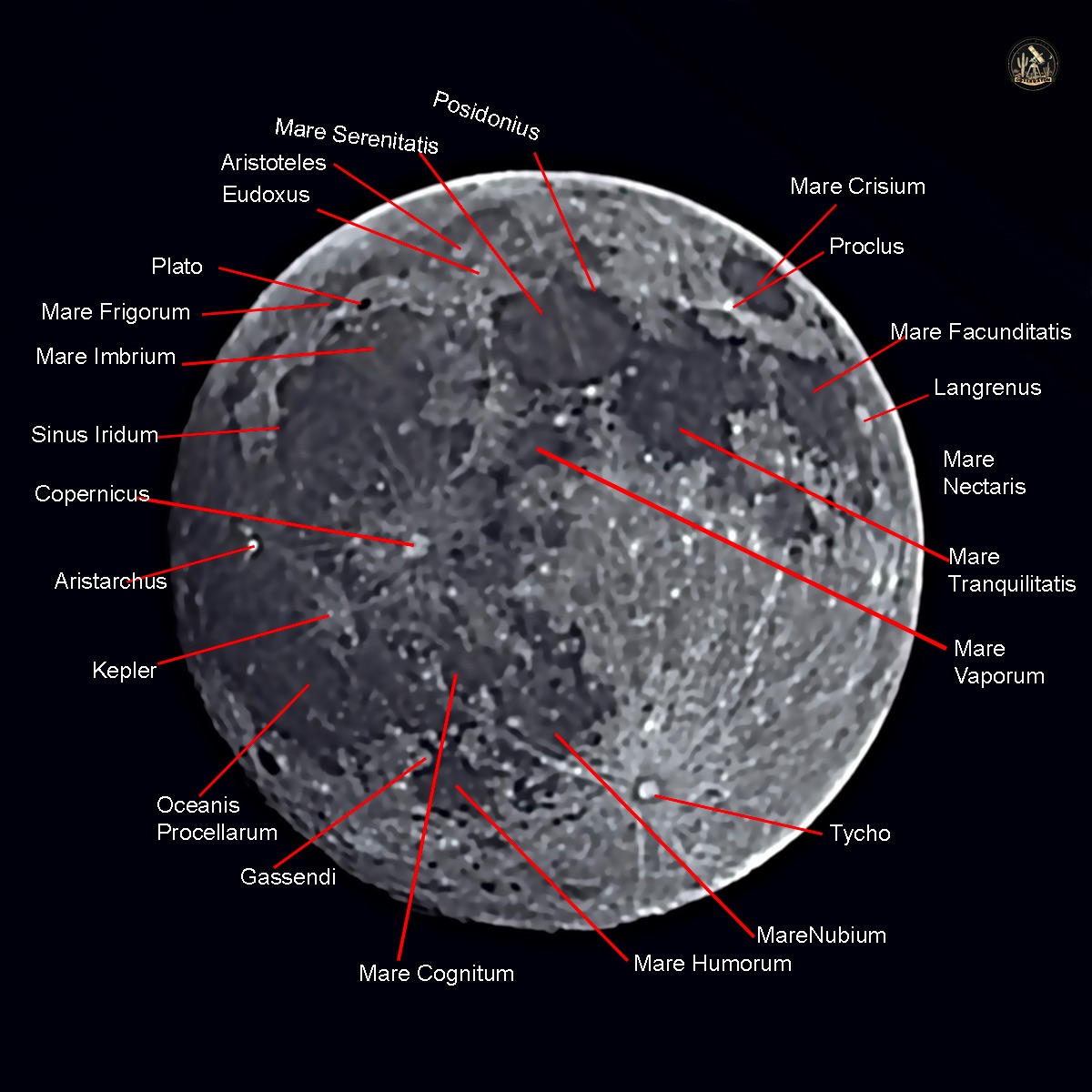 Community photo by Jelieta Walinski Ph.D | Desert Bloom Observatory, AZ, USA