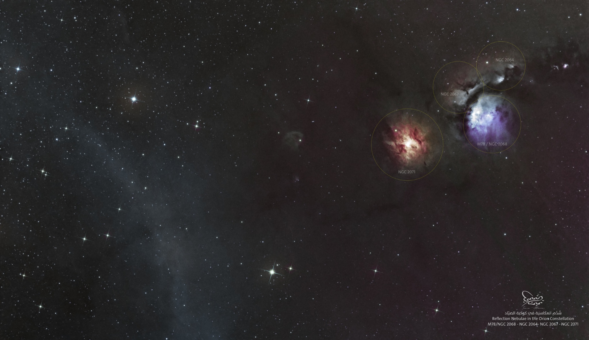 Community photo by Tameem