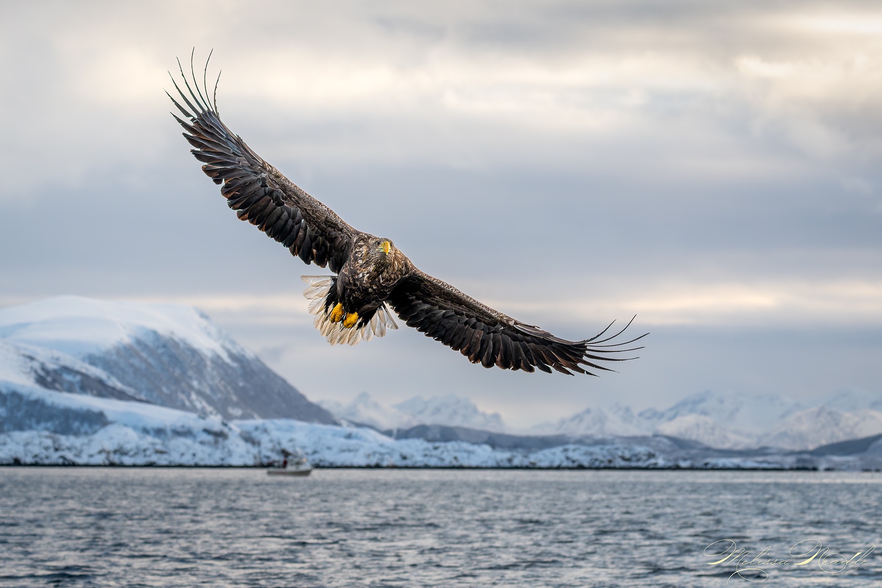 Community photo by Melissa Neadle | Nordland, Norway