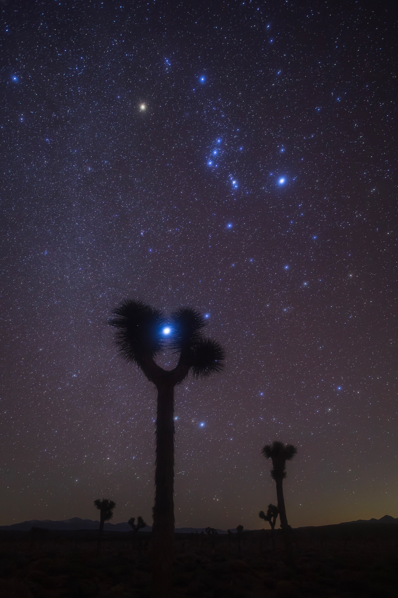 Community photo by Jeremy