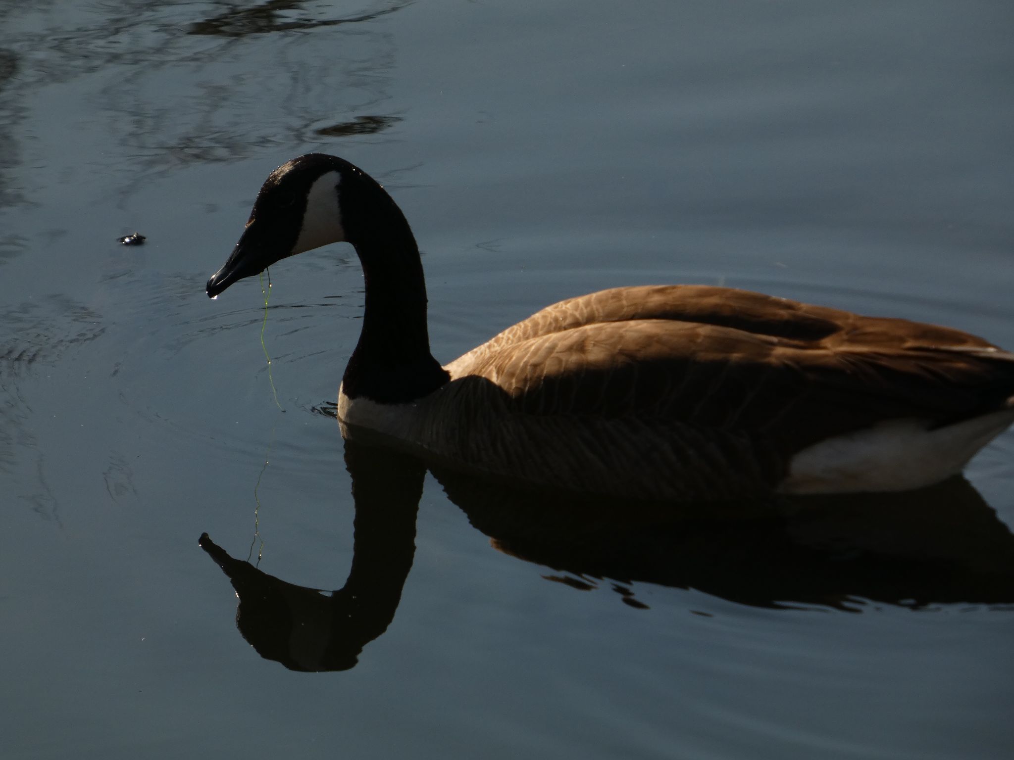 Community photo by David A.