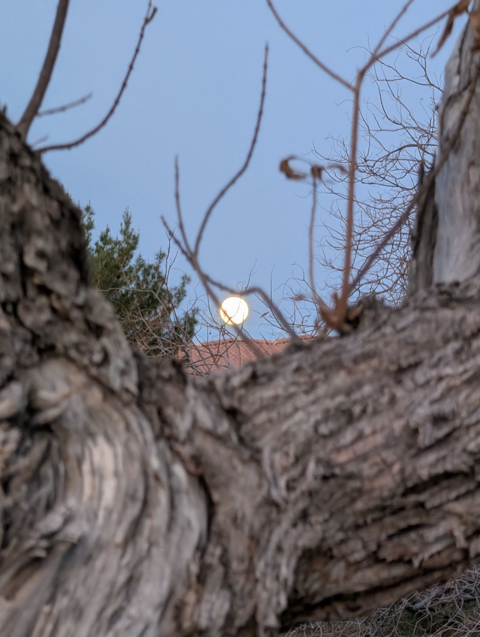 Community photo by Craig