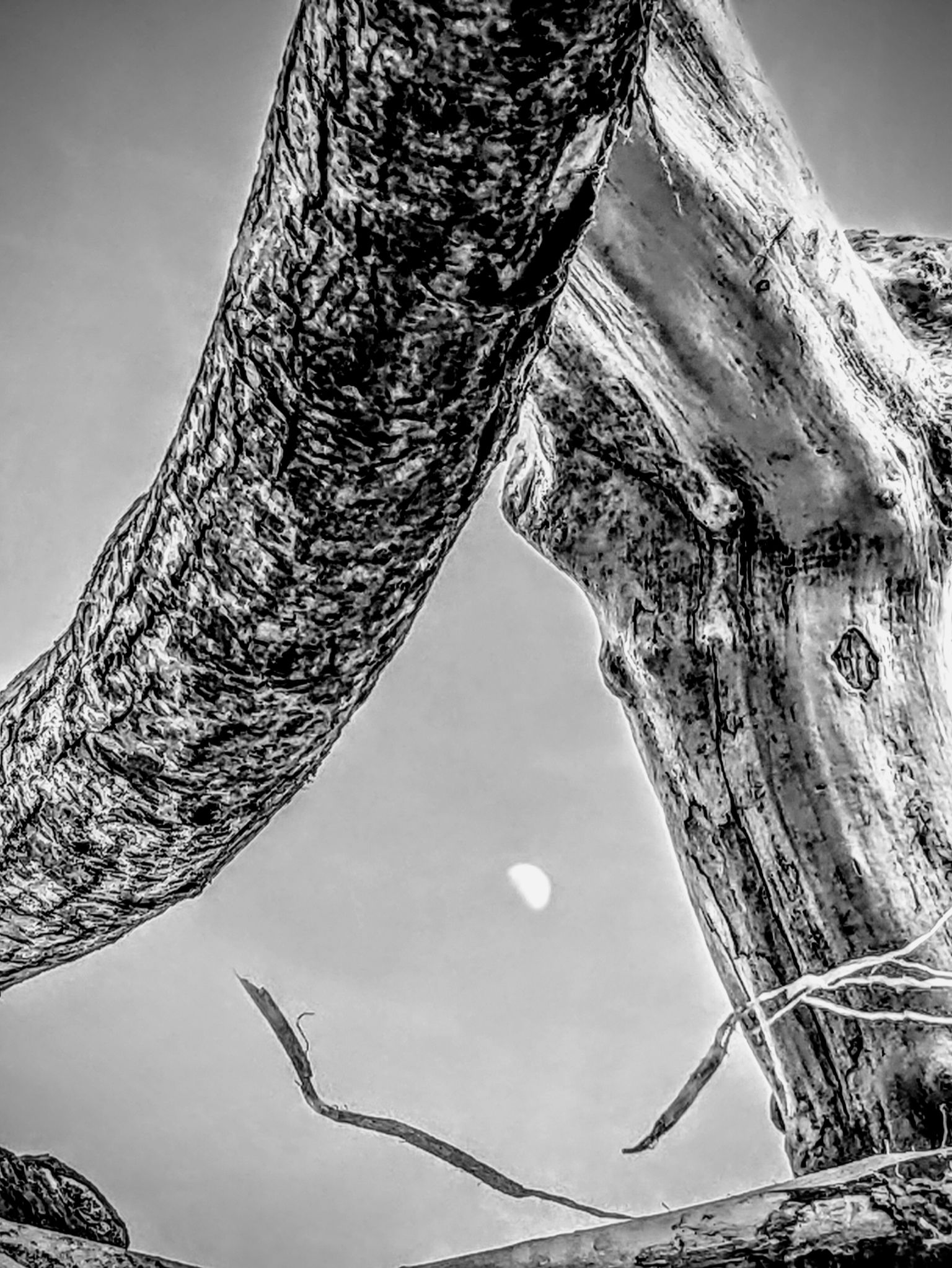 Community photo by Kevan