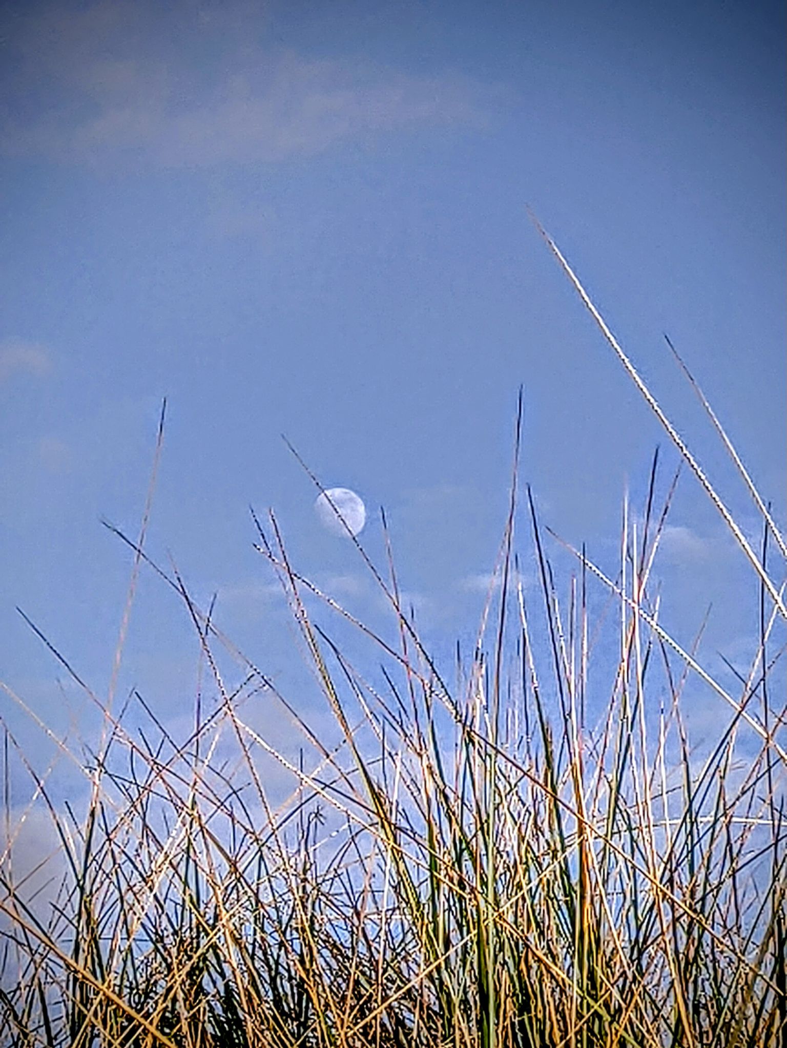 Community photo by Kevan