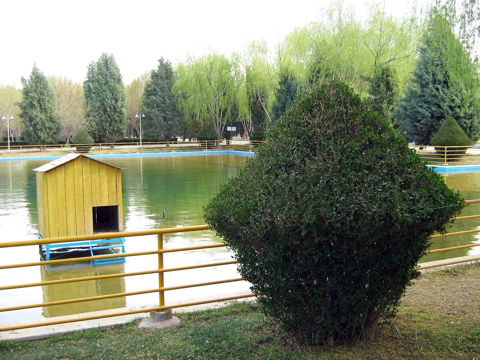 Community photo by Hassan