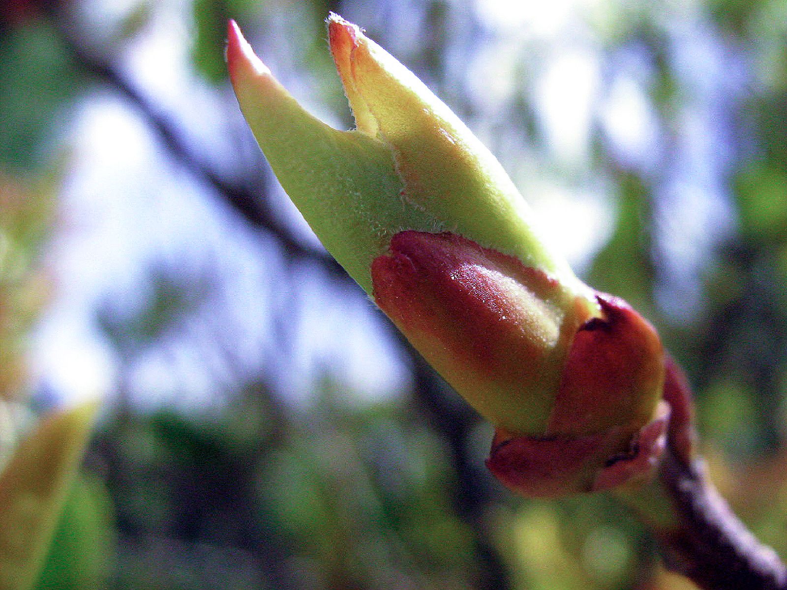 Community photo by Hassan Dadashi.Arani | Esfahan. Iran