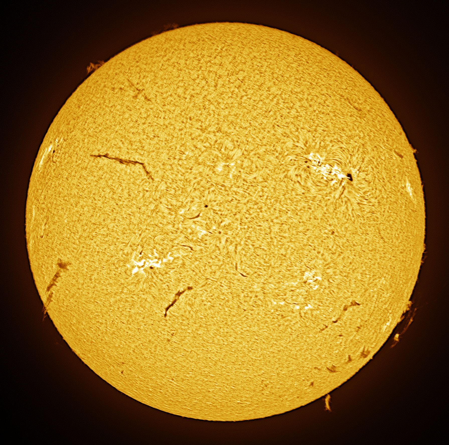 Community photo by Jim Militello | Tucson, Arizona  USA