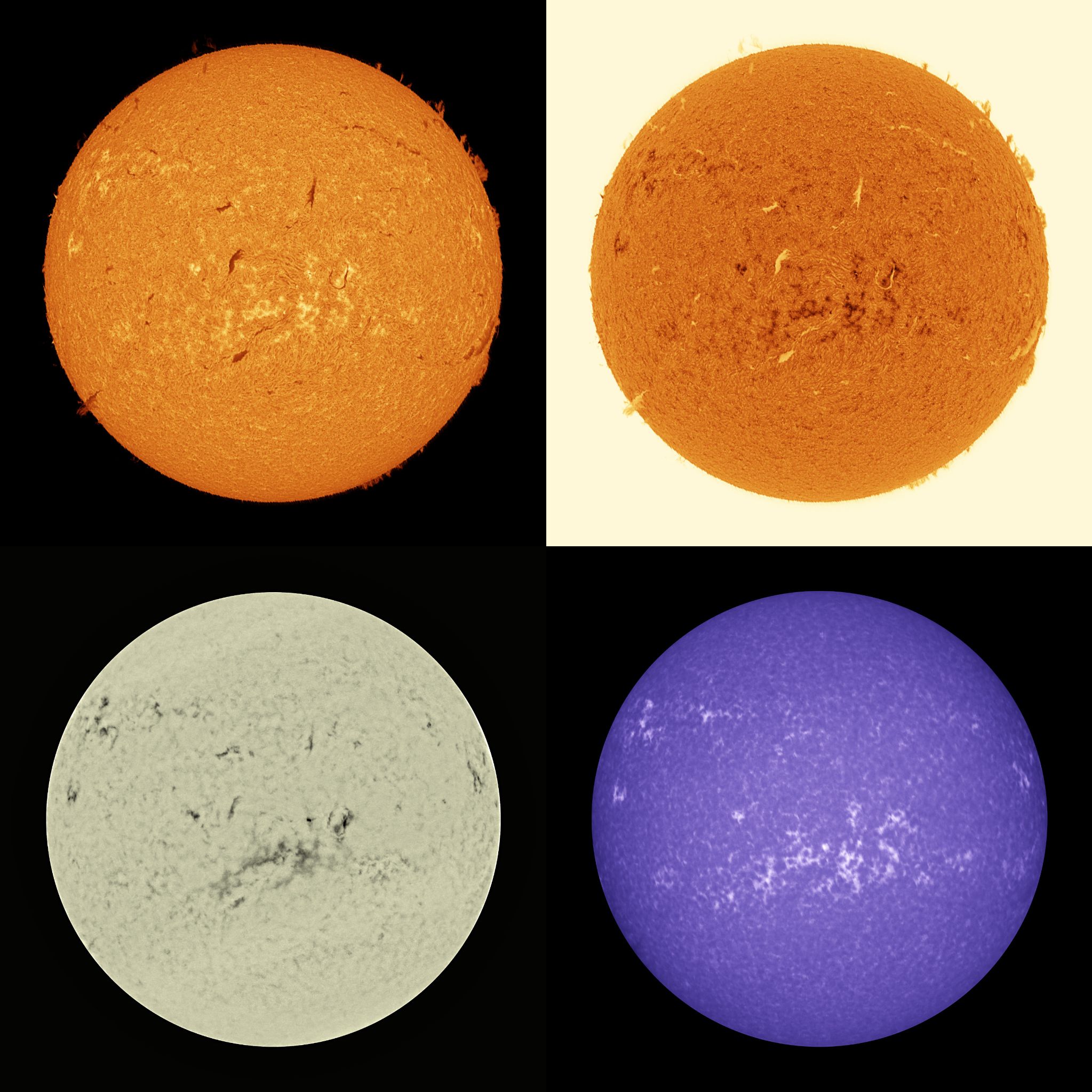 Community photo by Mario