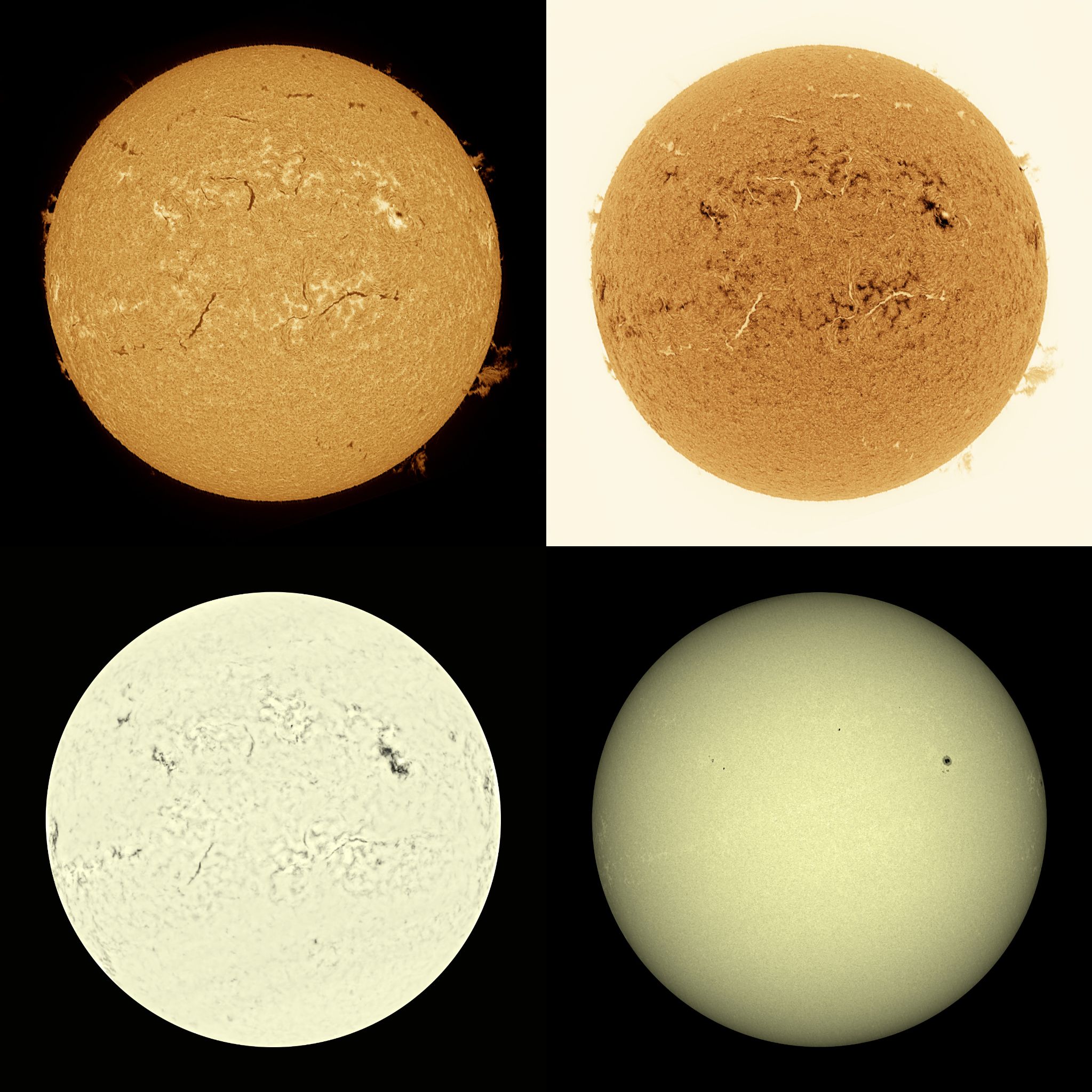 Community photo by Mario