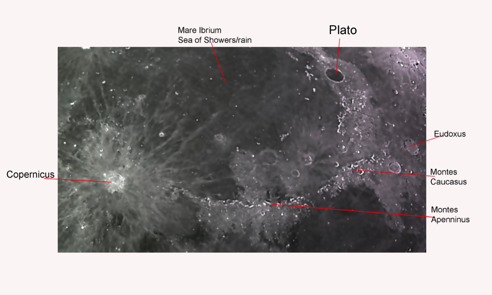 Community photo by Jelieta Walinski | Desert Bloom Observatory, AZ, USA