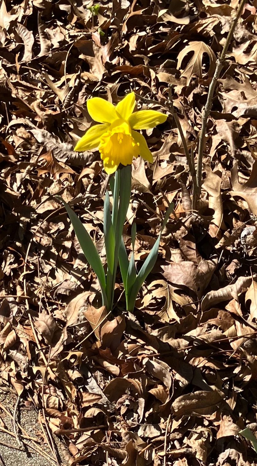 Community photo by Claudia