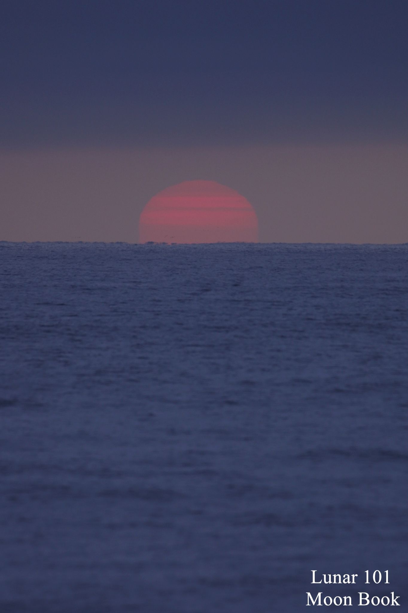 Community photo by Steven