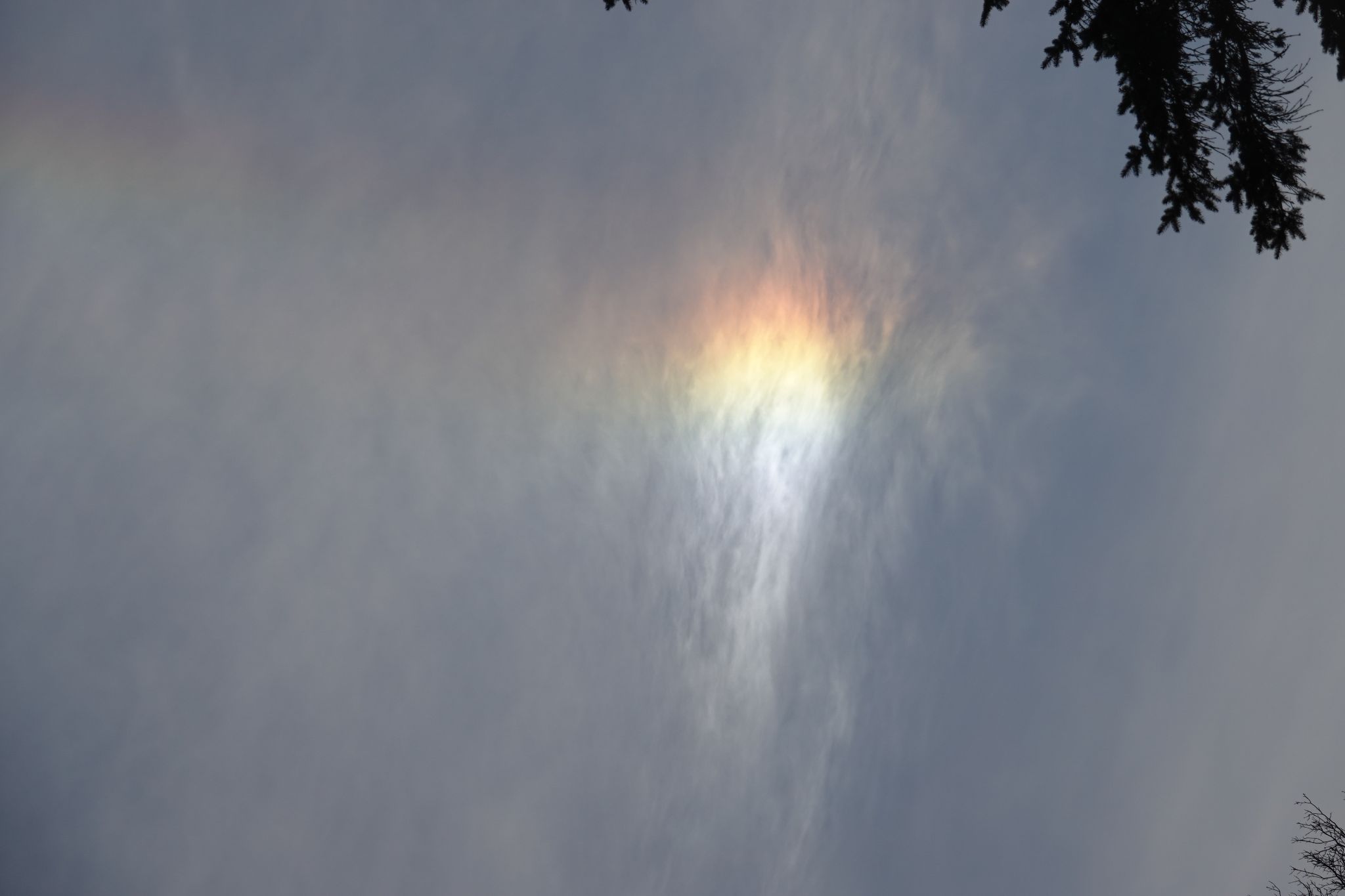 Community photo by Tom Jones | Brighton, NY  (USA)