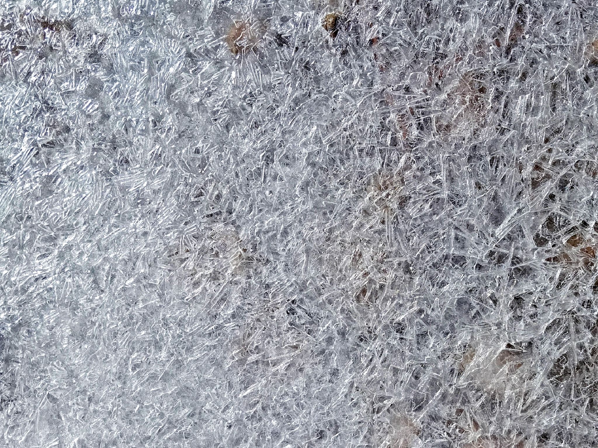 Community photo by Hassan Dadashi Arani | Esfahan province. Iran