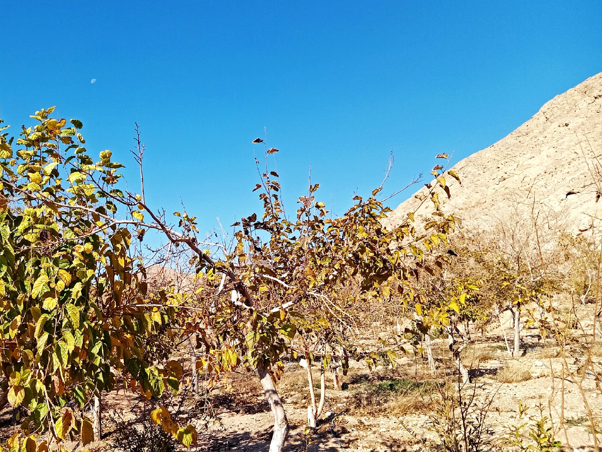 Community photo by Hassan Dadashi.Arani | Esfahan province. Iran
