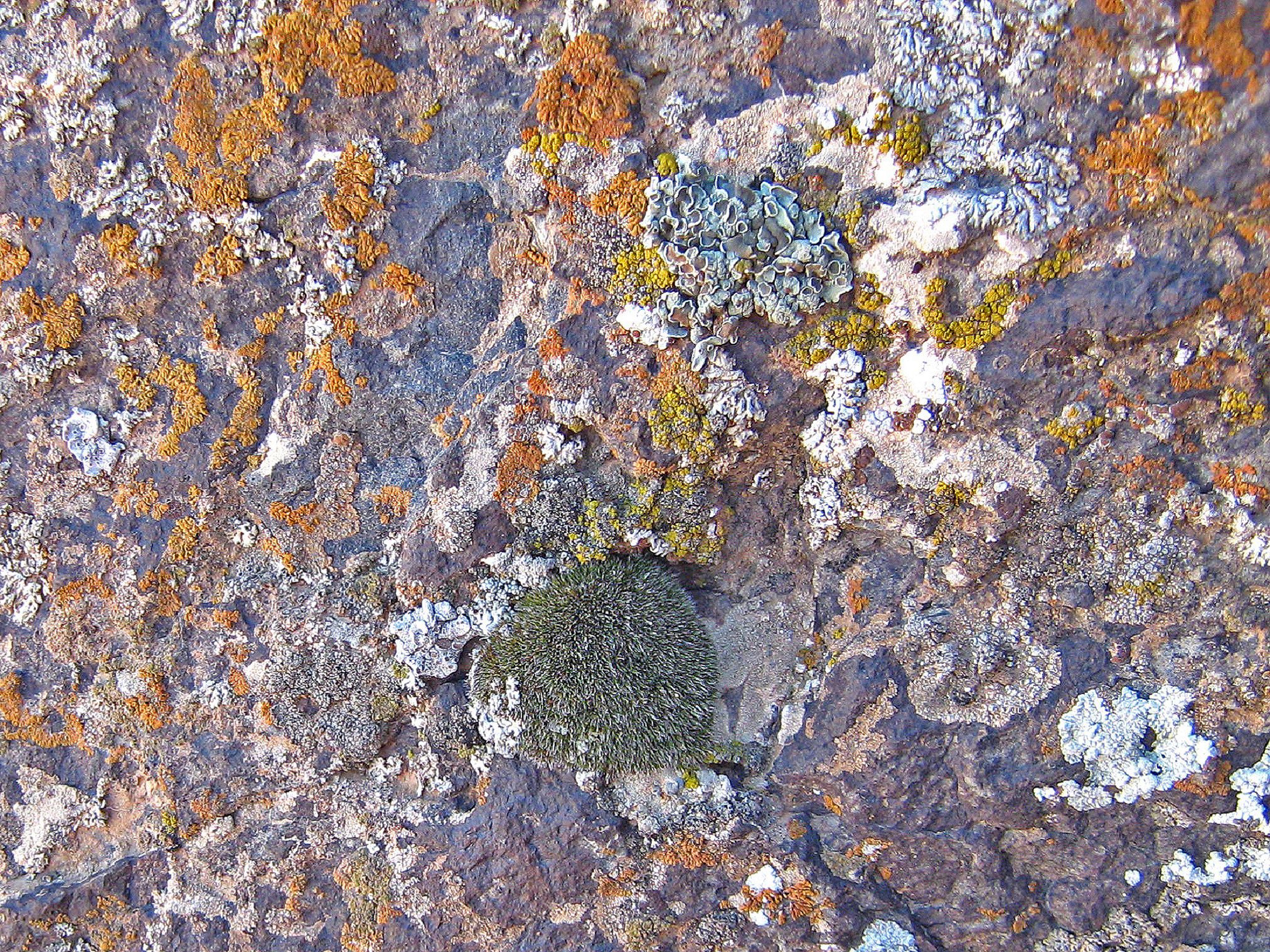 Community photo by Hassan Dadashi.Arani | Esfahan province. Iran