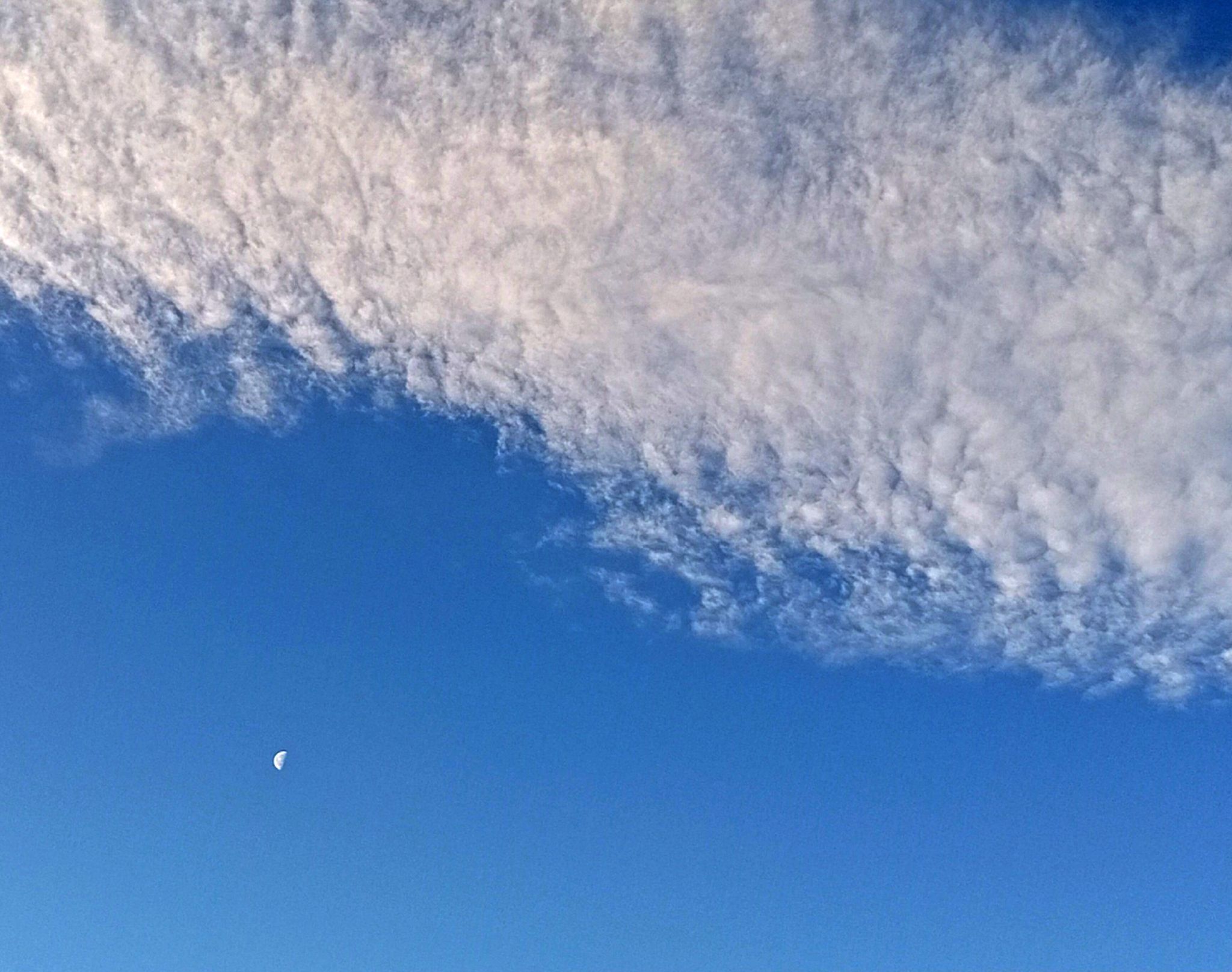 Community photo by Hassan