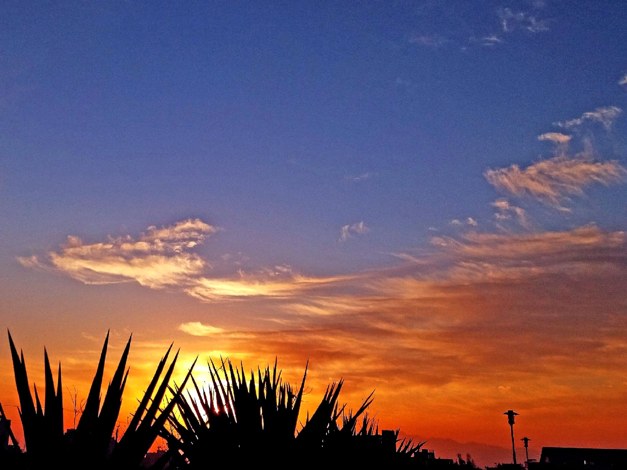 Community photo by Hassan Dadashi.Arani | Esfahan province. Iran