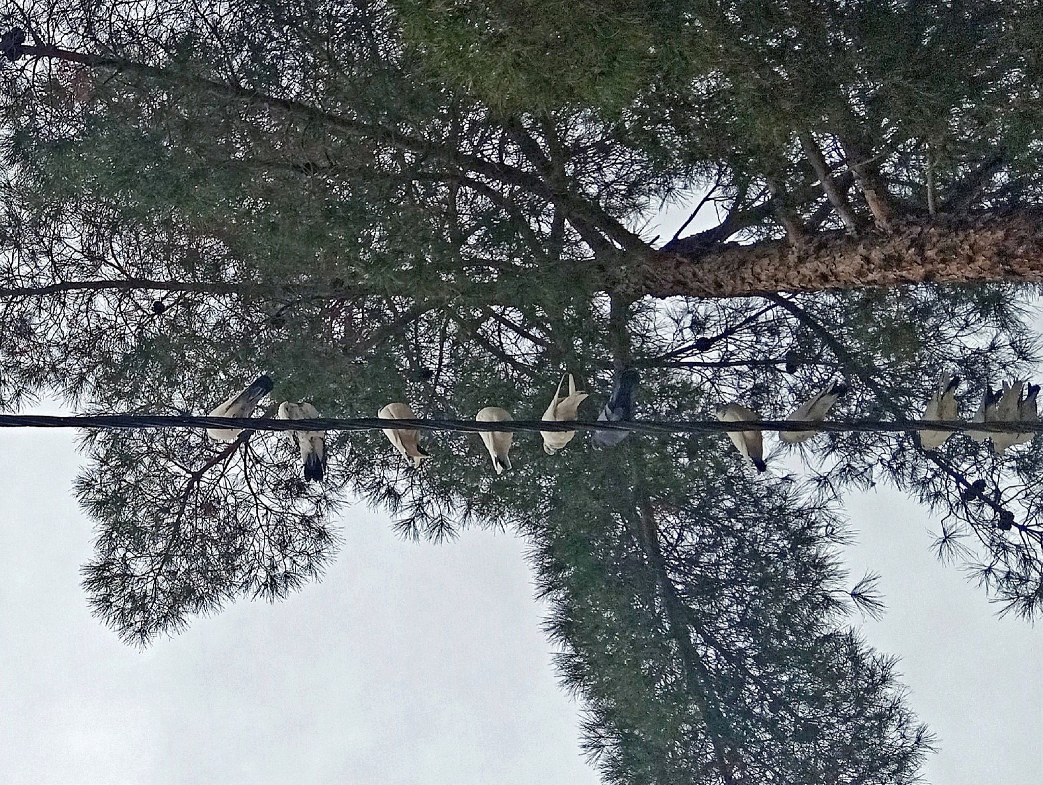 Community photo by Hassan