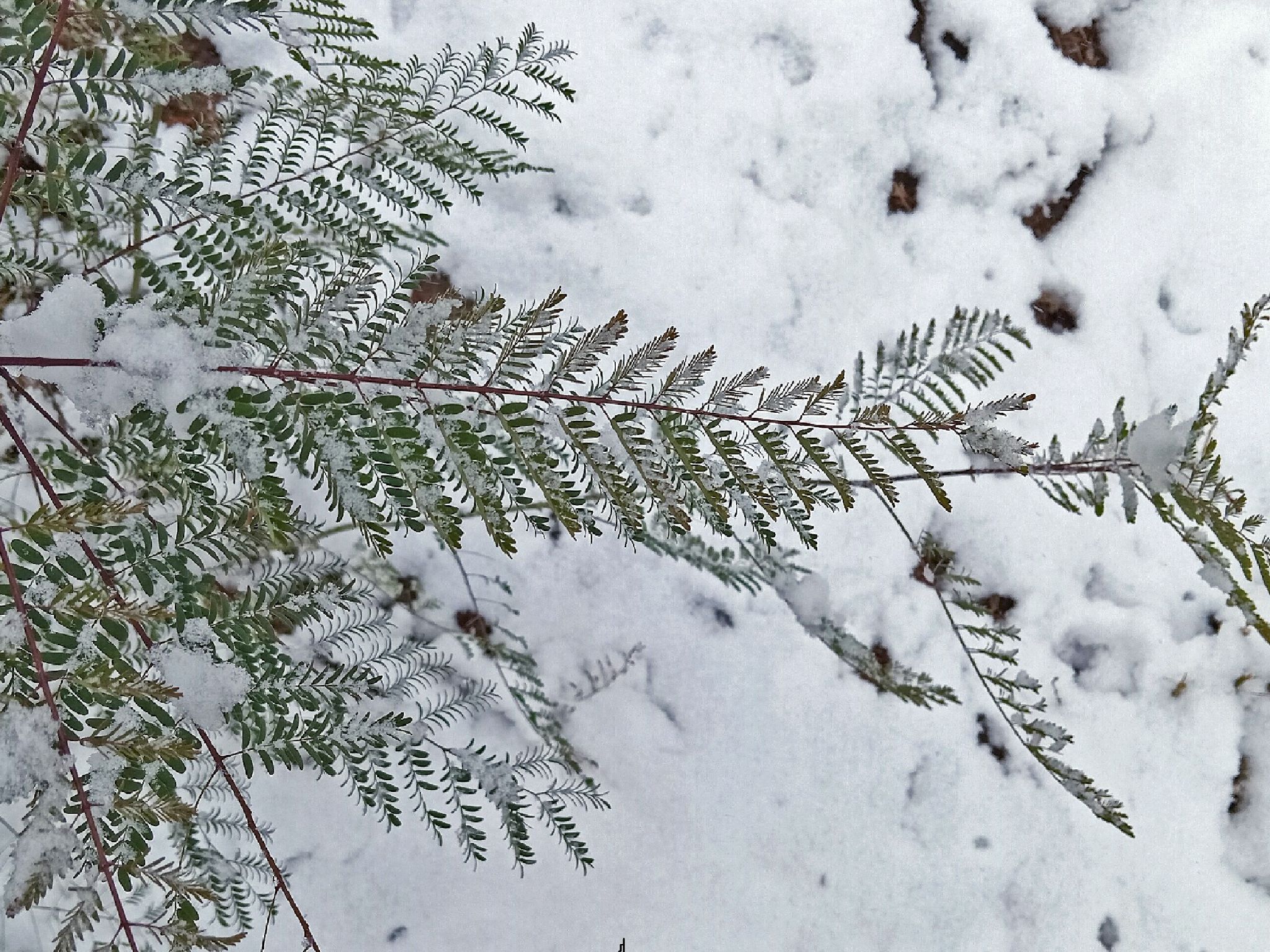 Community photo by Hassan