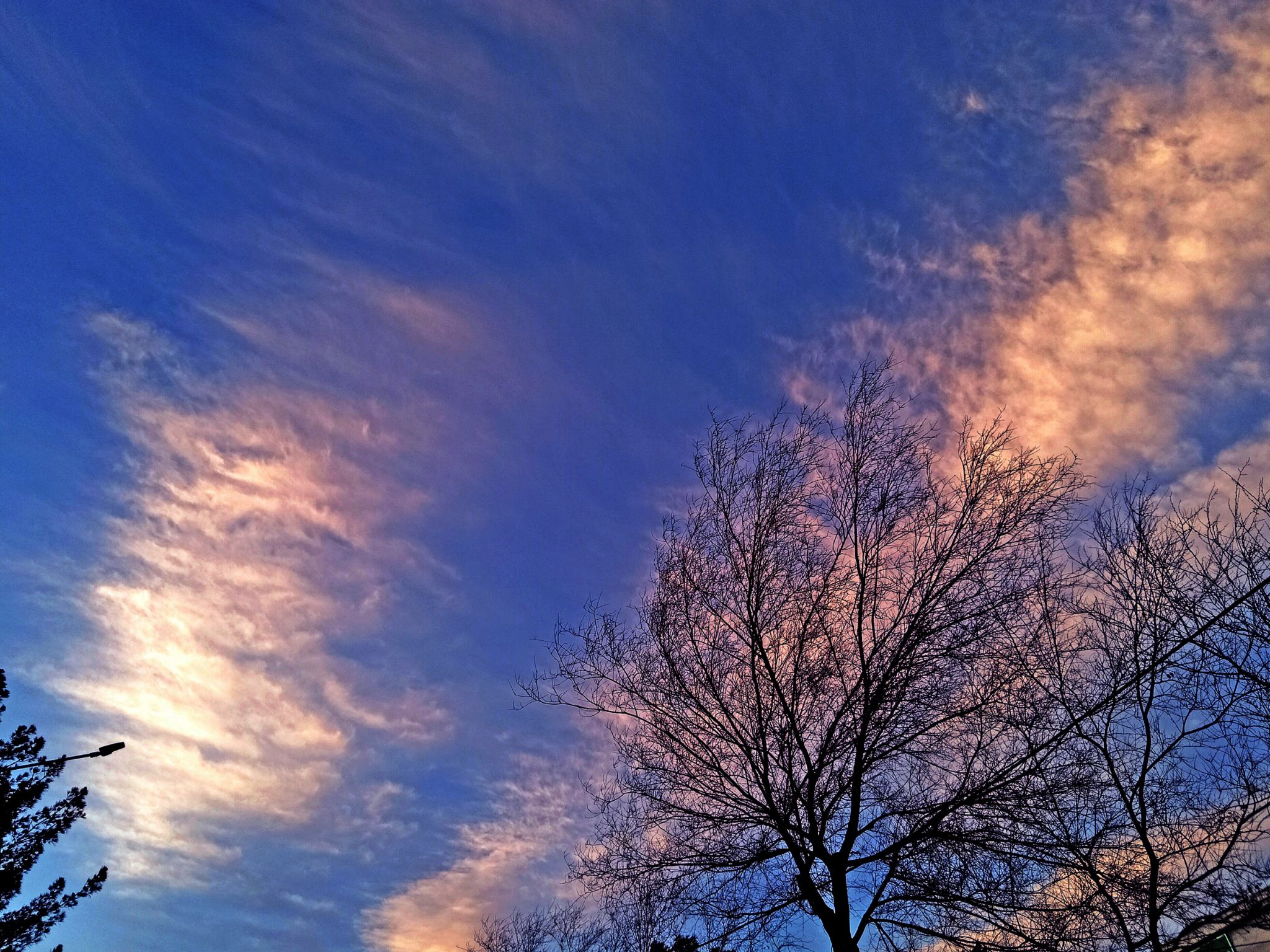 Community photo by Hassan Dadashi.Arani | Esfahan province. Iran
