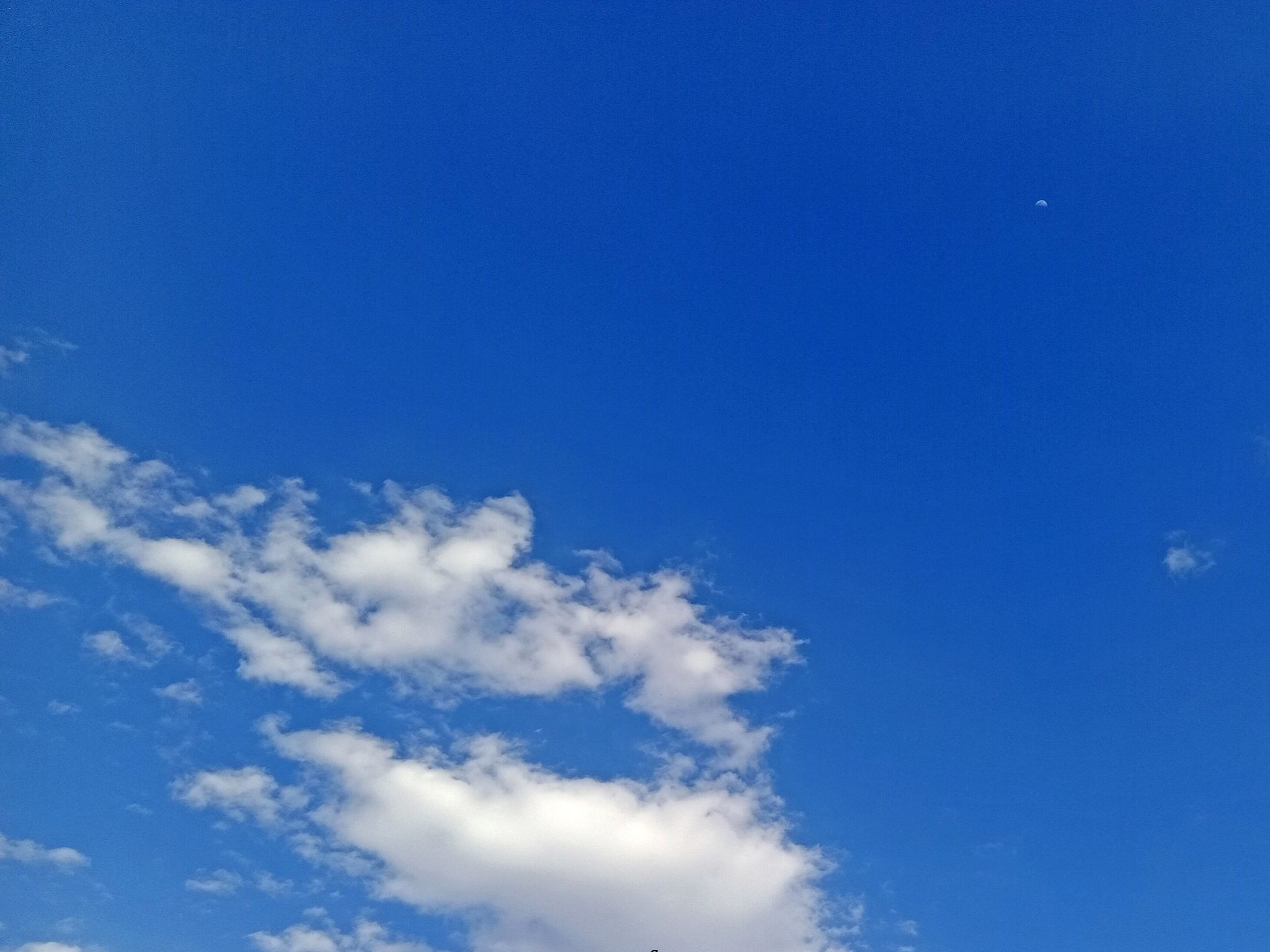 Community photo by Hassan Dadashi.Arani | Esfahan. Iran