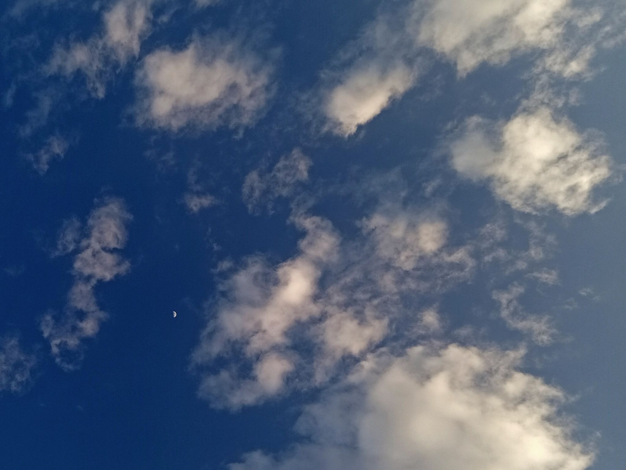 Community photo by Hassan Dadashi.Arani | Esfahan province. Iran