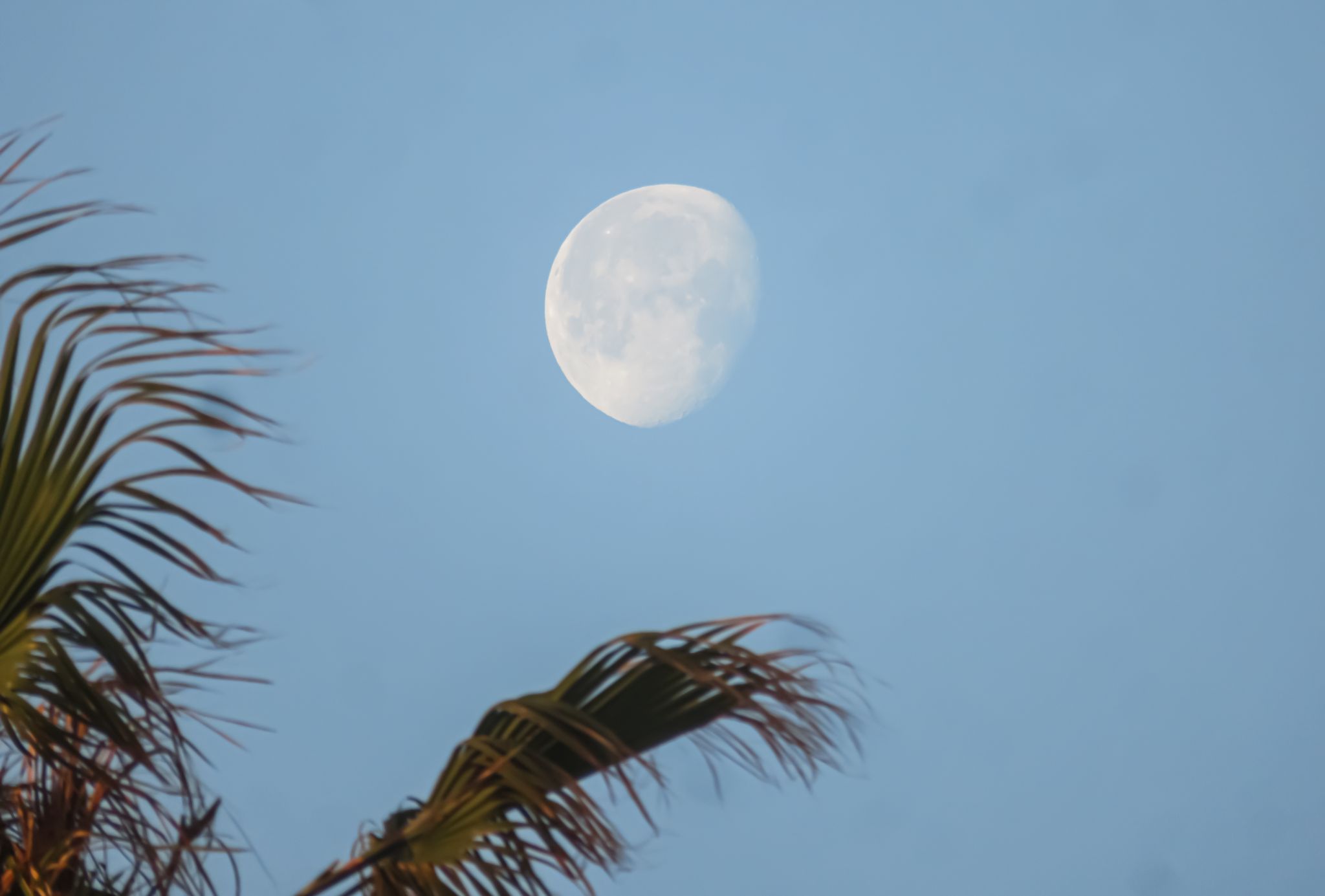 Community photo by Mohamed