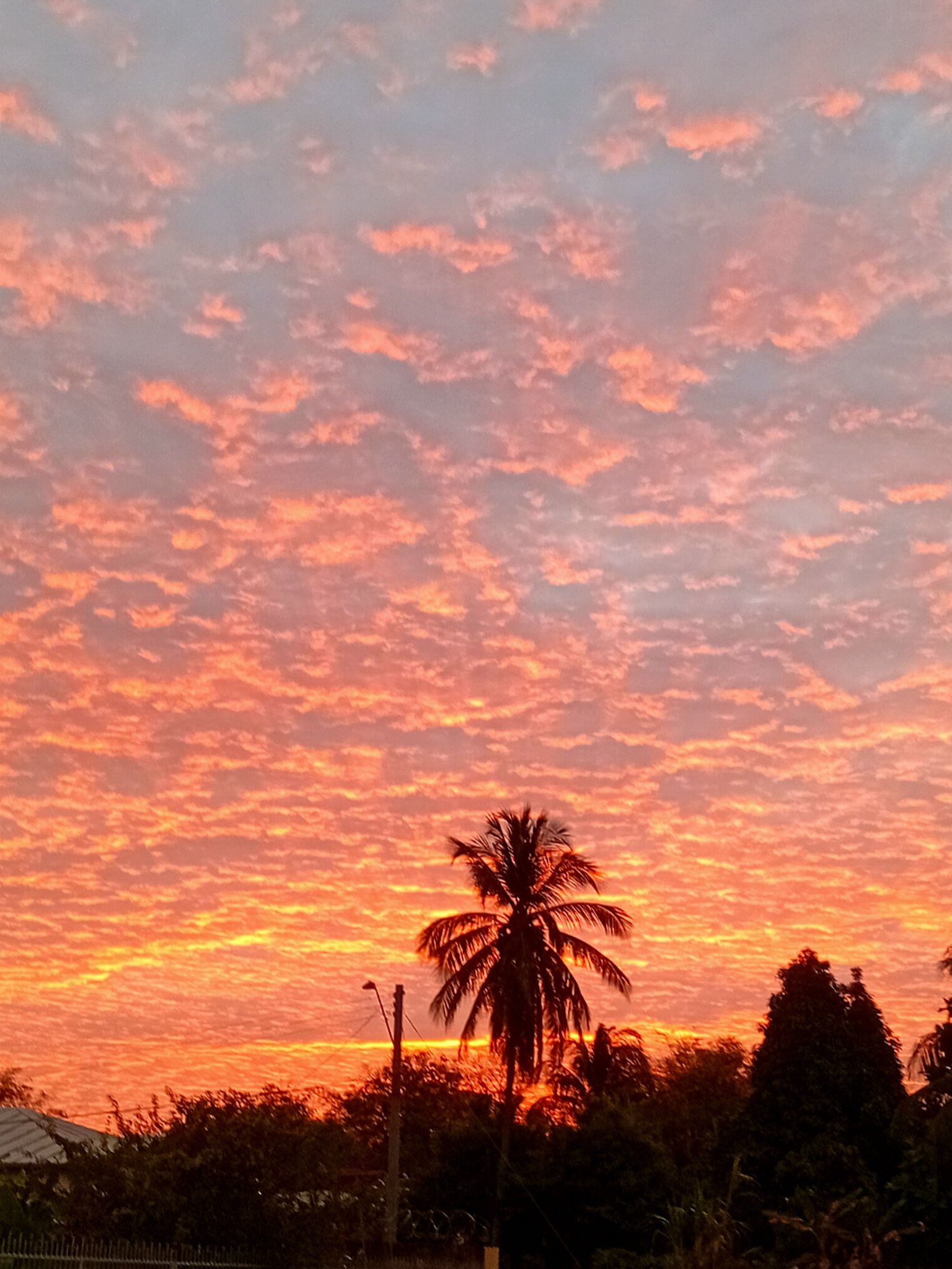 Community photo by Jo-Ann Hem Lee | Trincity ...Trinidad. from the twin island Republic of Trinidad and Tobago