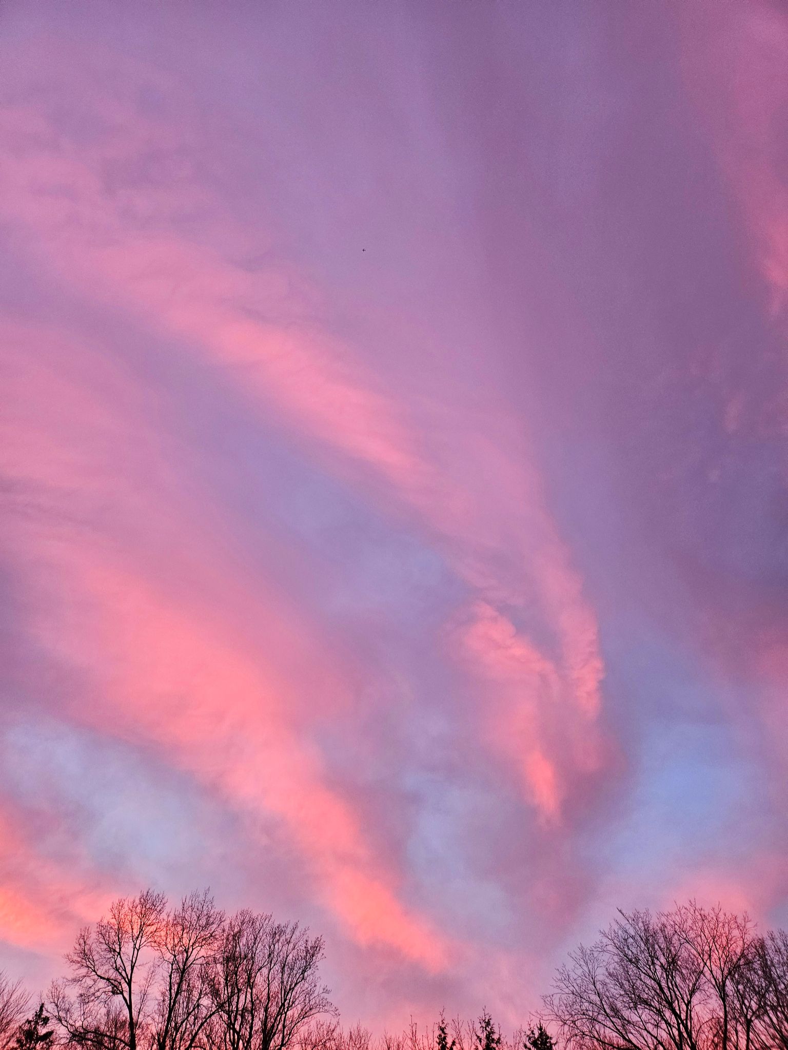 Community photo by C. Gentile | Florham Park, NJ USA